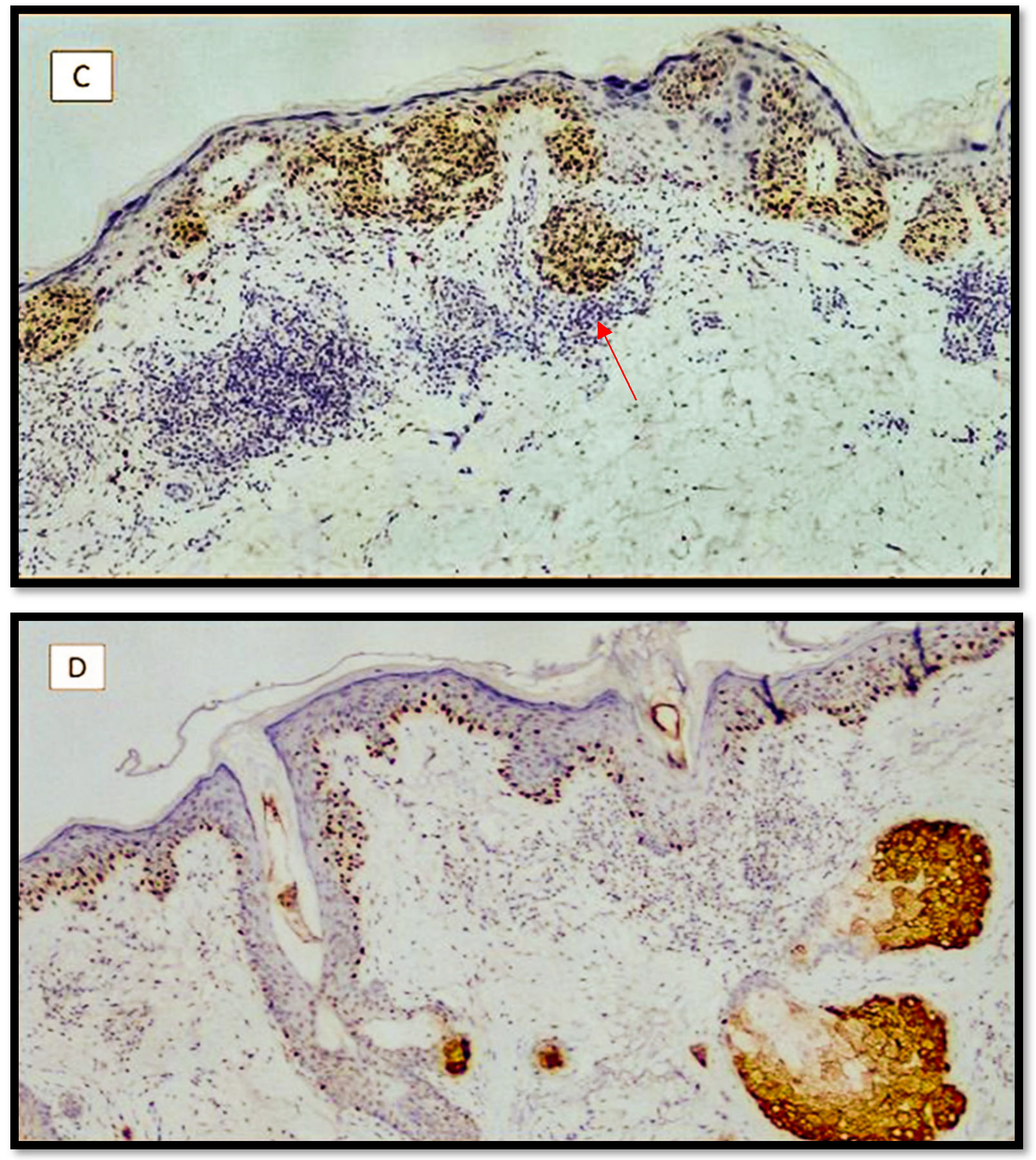 Diagnostics 12 02197 g001b 550