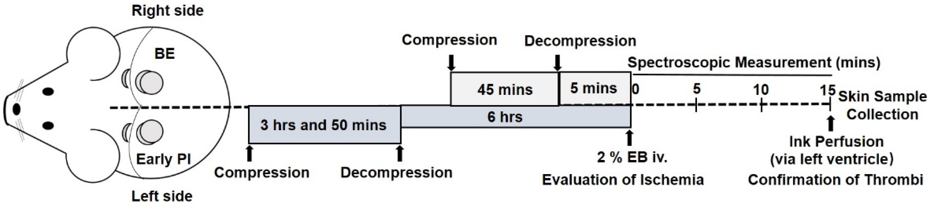 Diagnostics 12 02198 g001