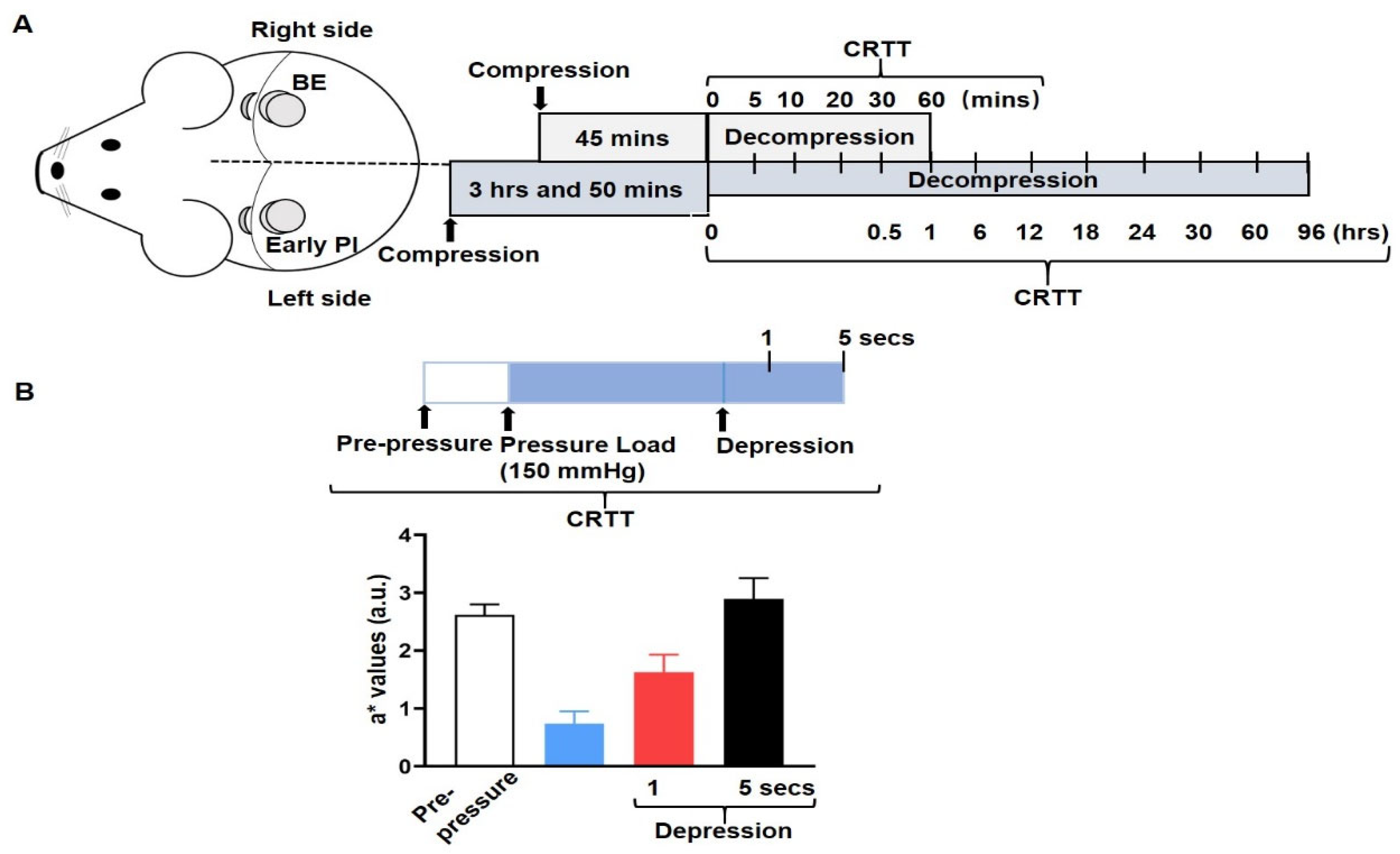 Diagnostics 12 02198 g002
