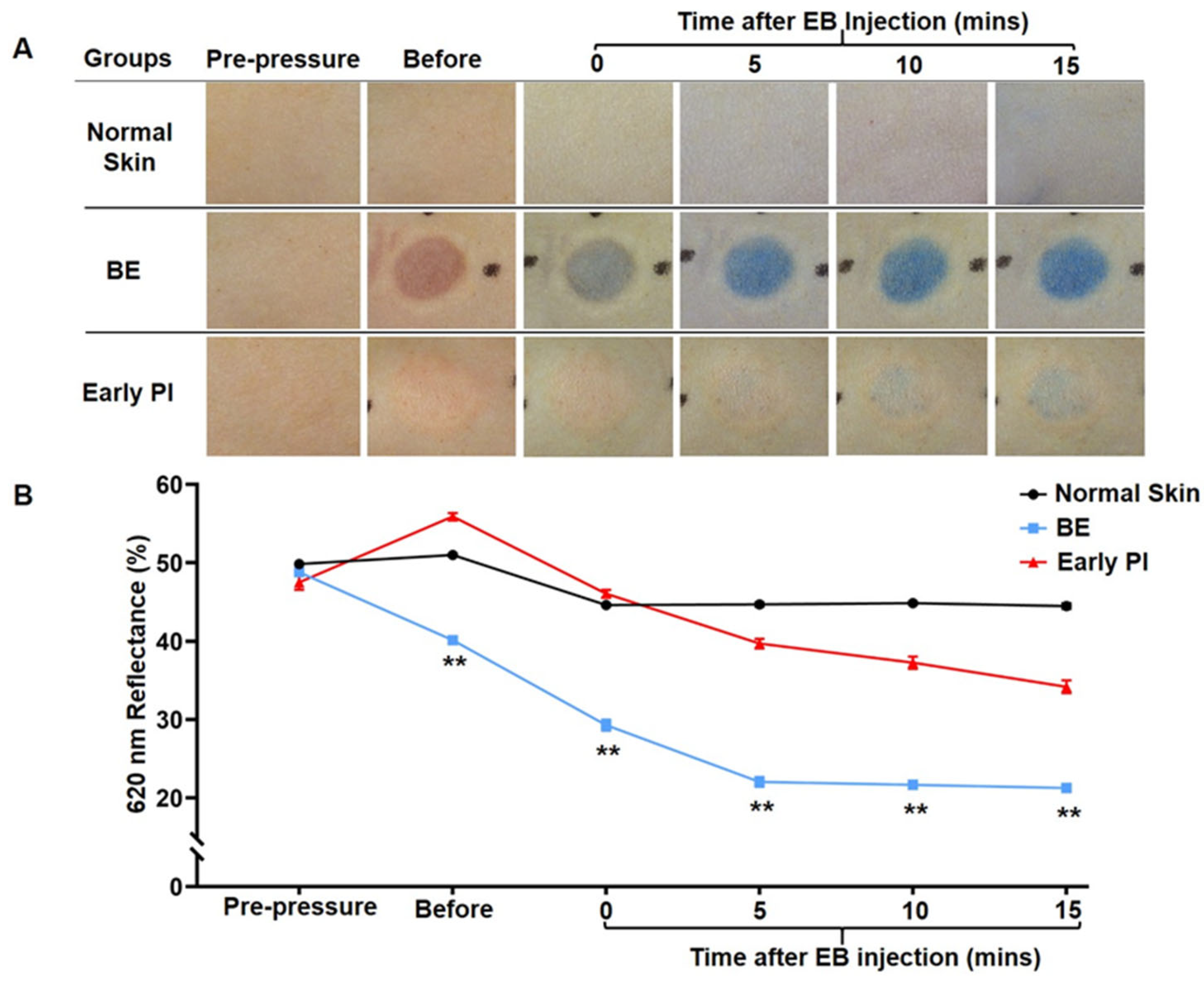 Diagnostics 12 02198 g003