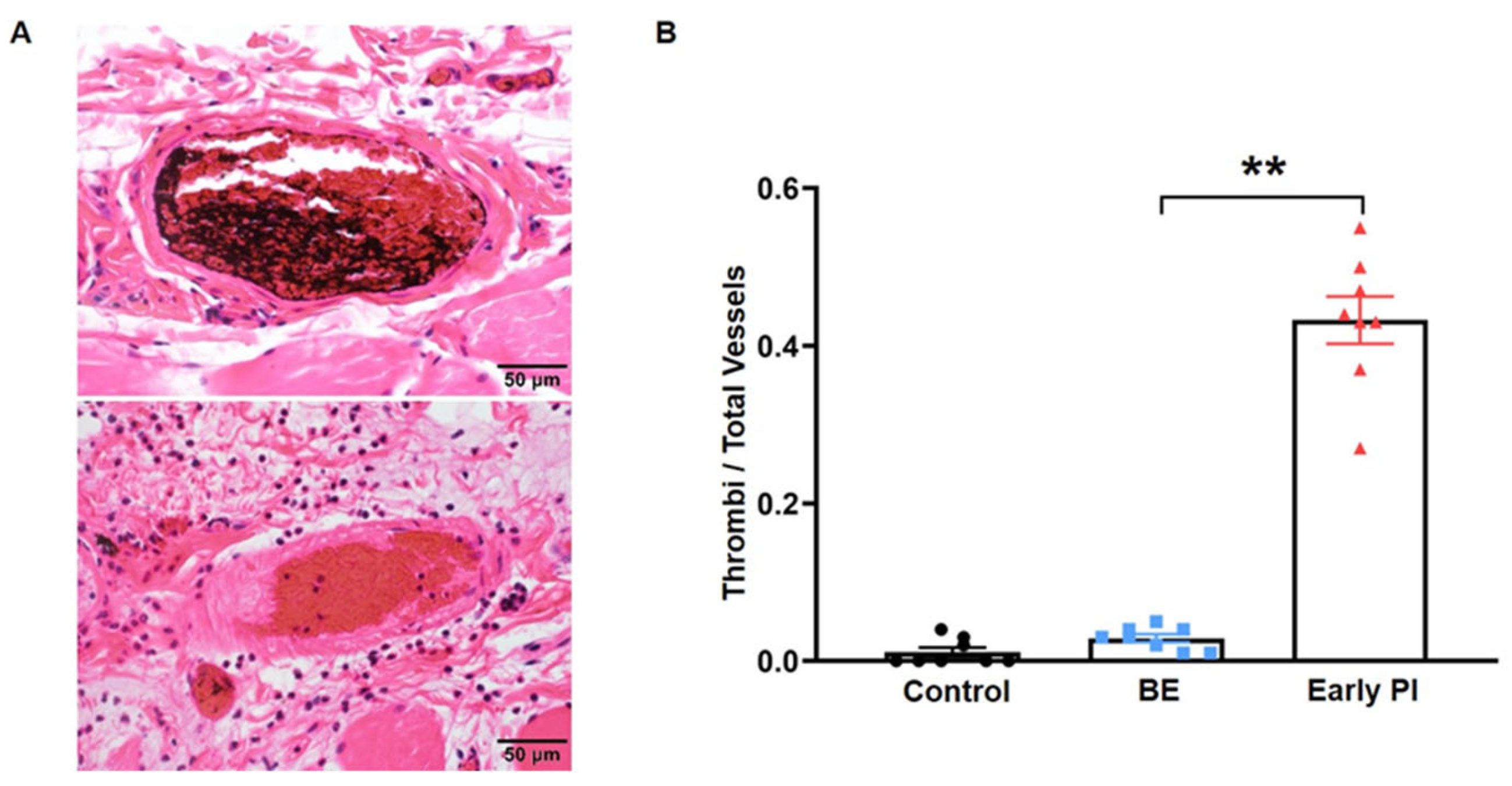 Diagnostics 12 02198 g004