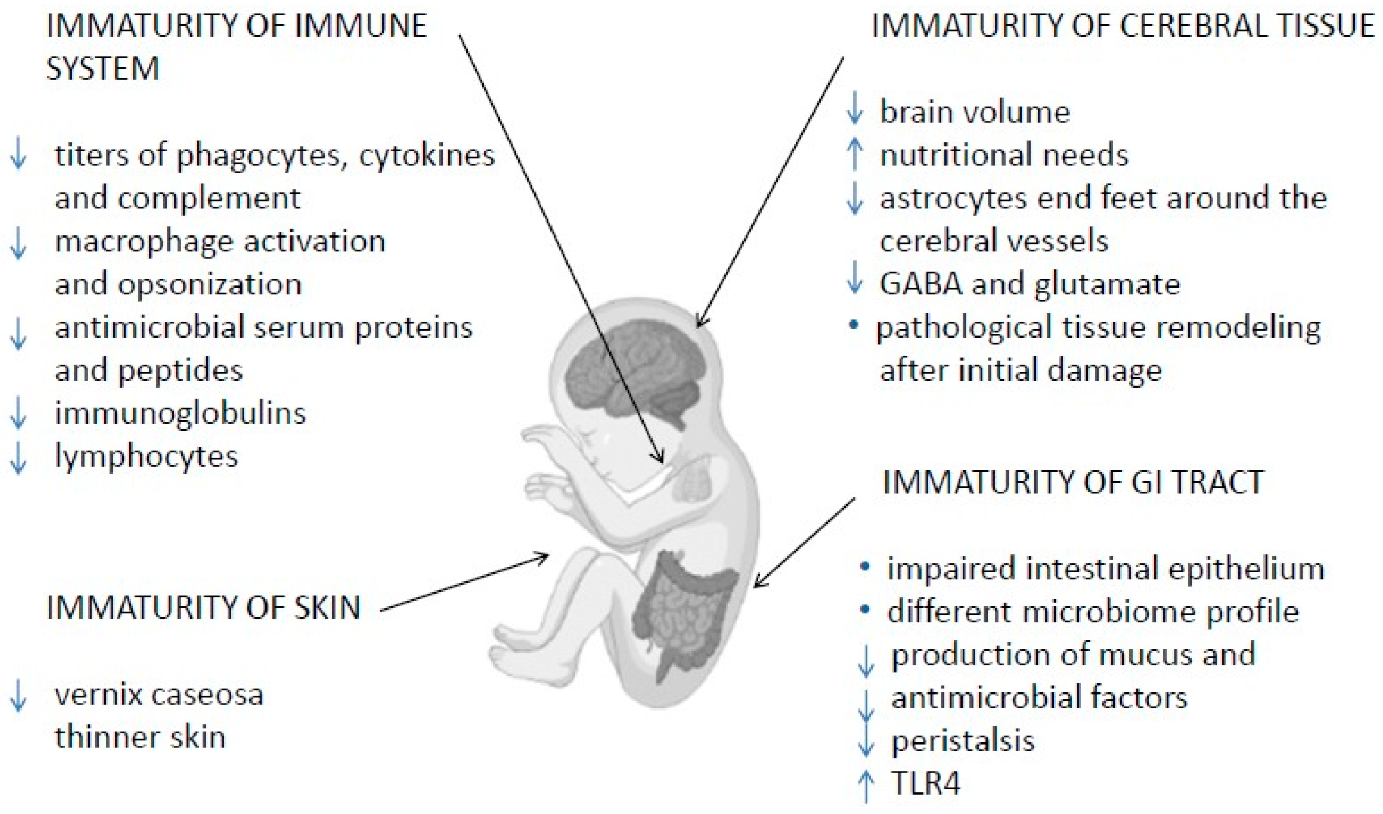 Diagnostics 12 02208 g001