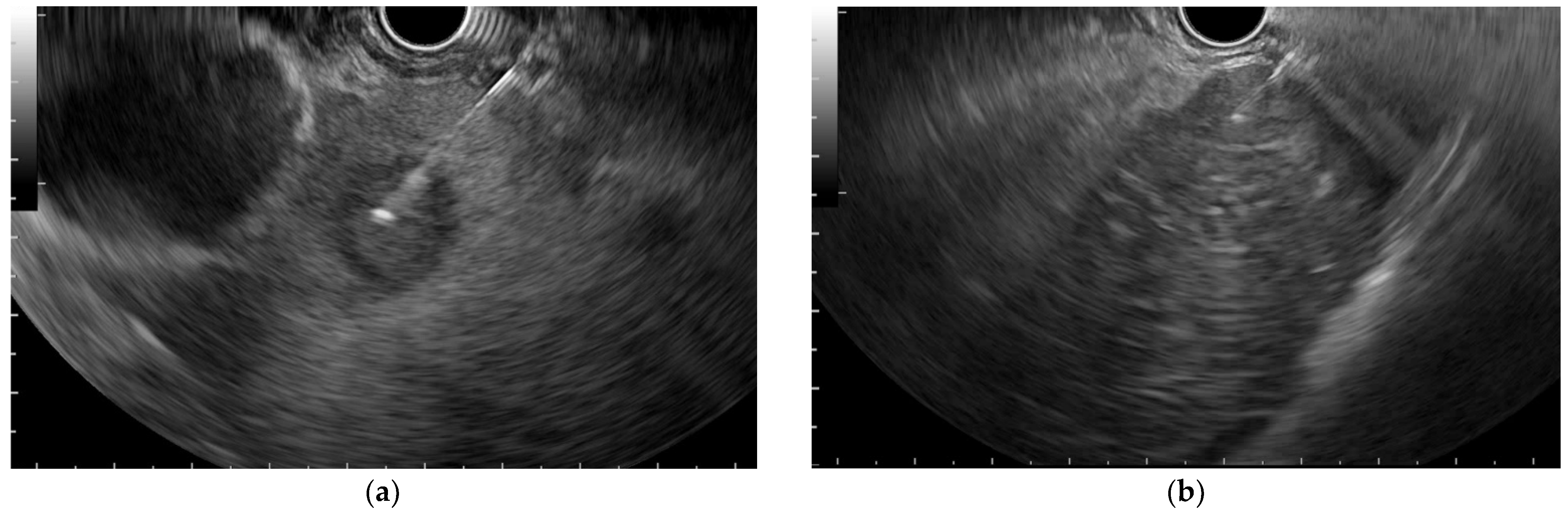 Diagnostics 12 02214 g001