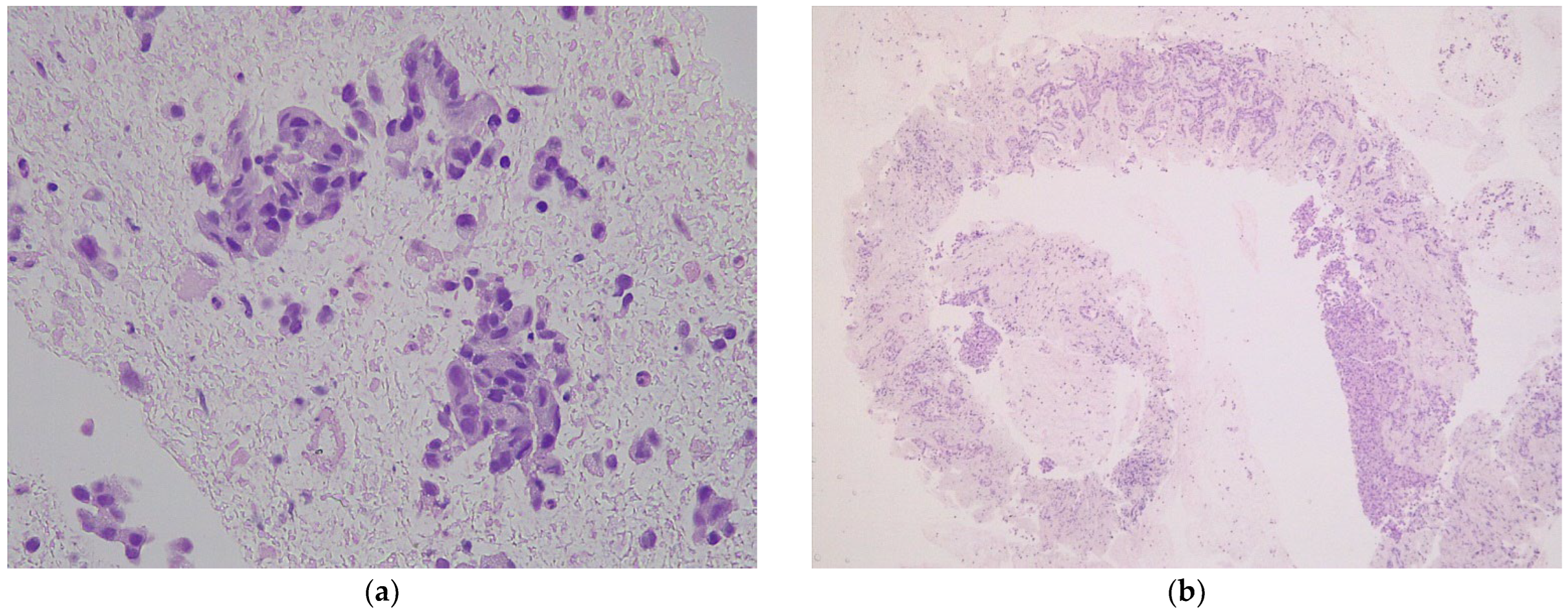 Diagnostics 12 02214 g002