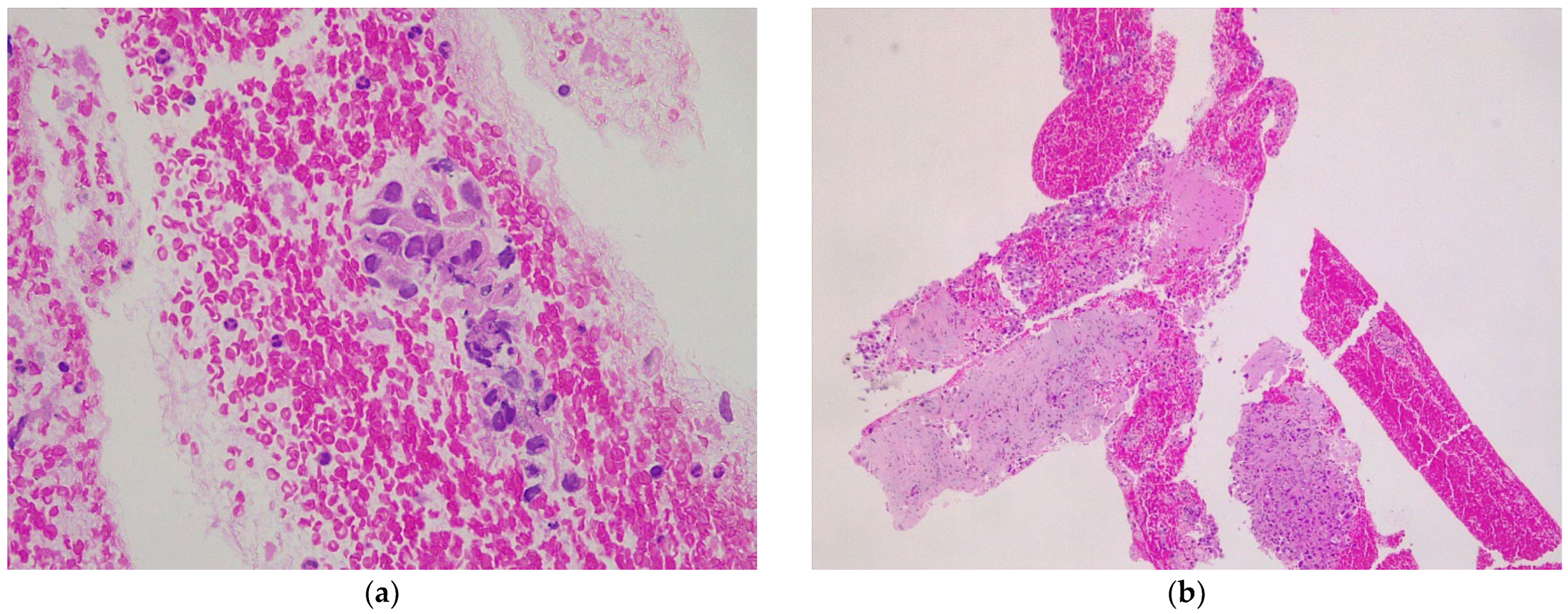 Diagnostics 12 02214 g003