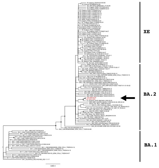Molecular Characterization of Whole-Genome SARS-CoV-2 from the First ...