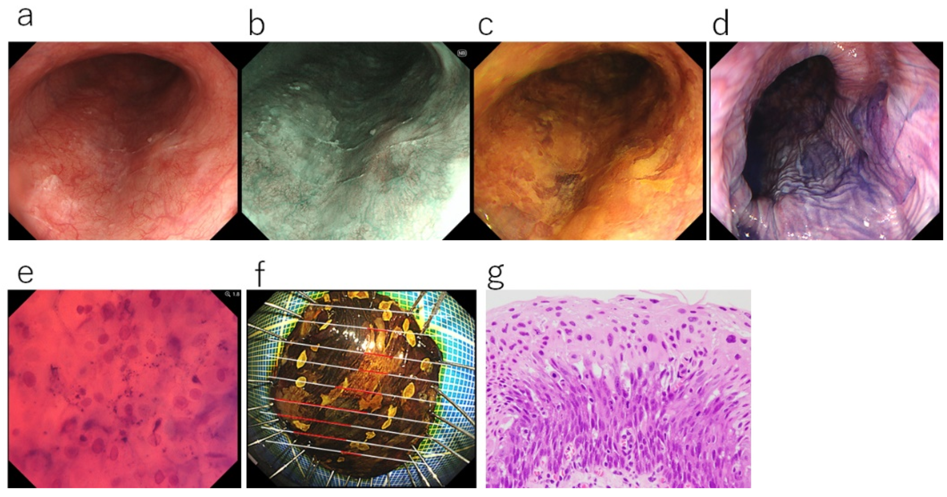 Diagnostics 12 02222 g004 550