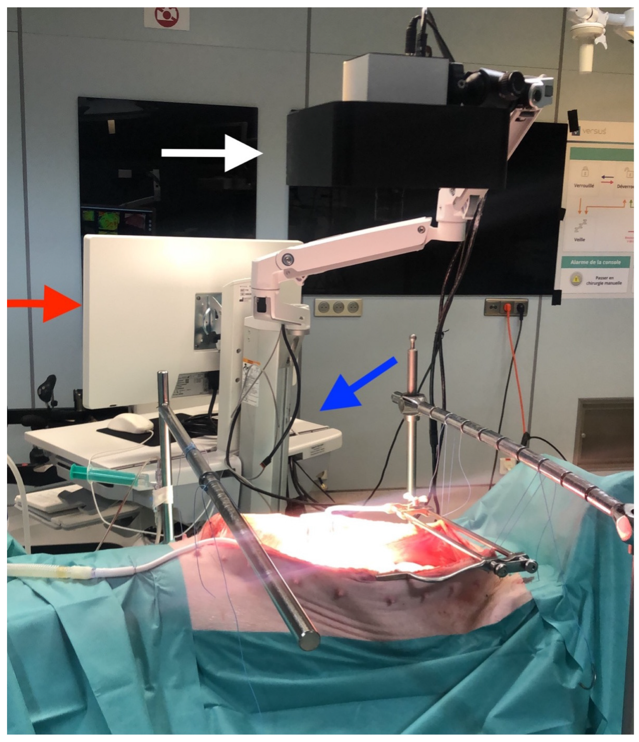 Diagnostics 12 02225 g001 550