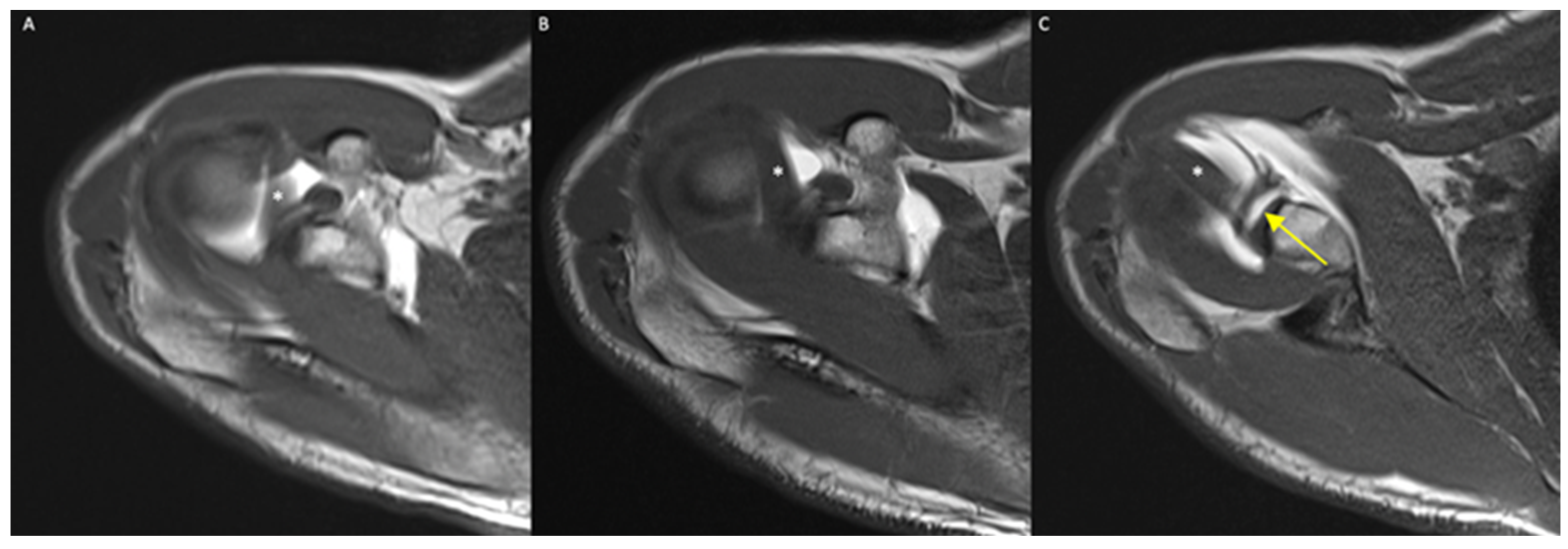 Diagnostics 12 02230 g006a 550
