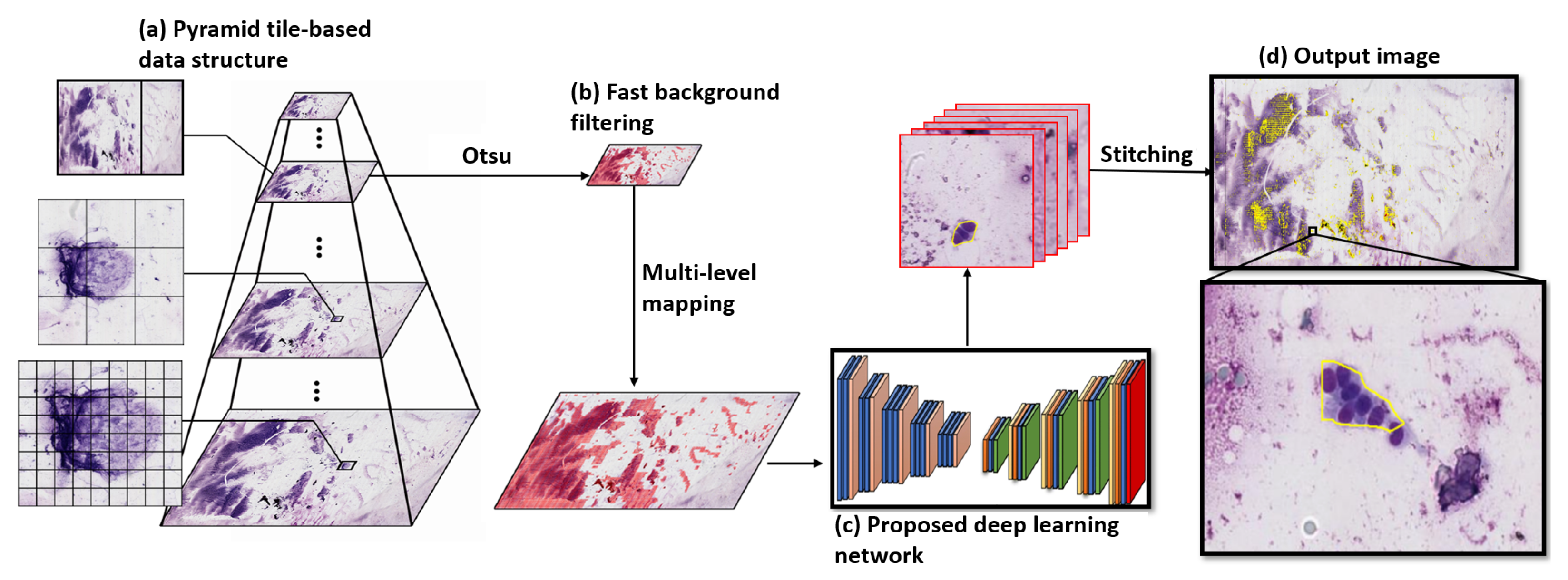 Diagnostics 12 02234 g002 Diagnostics 12 02234 g002