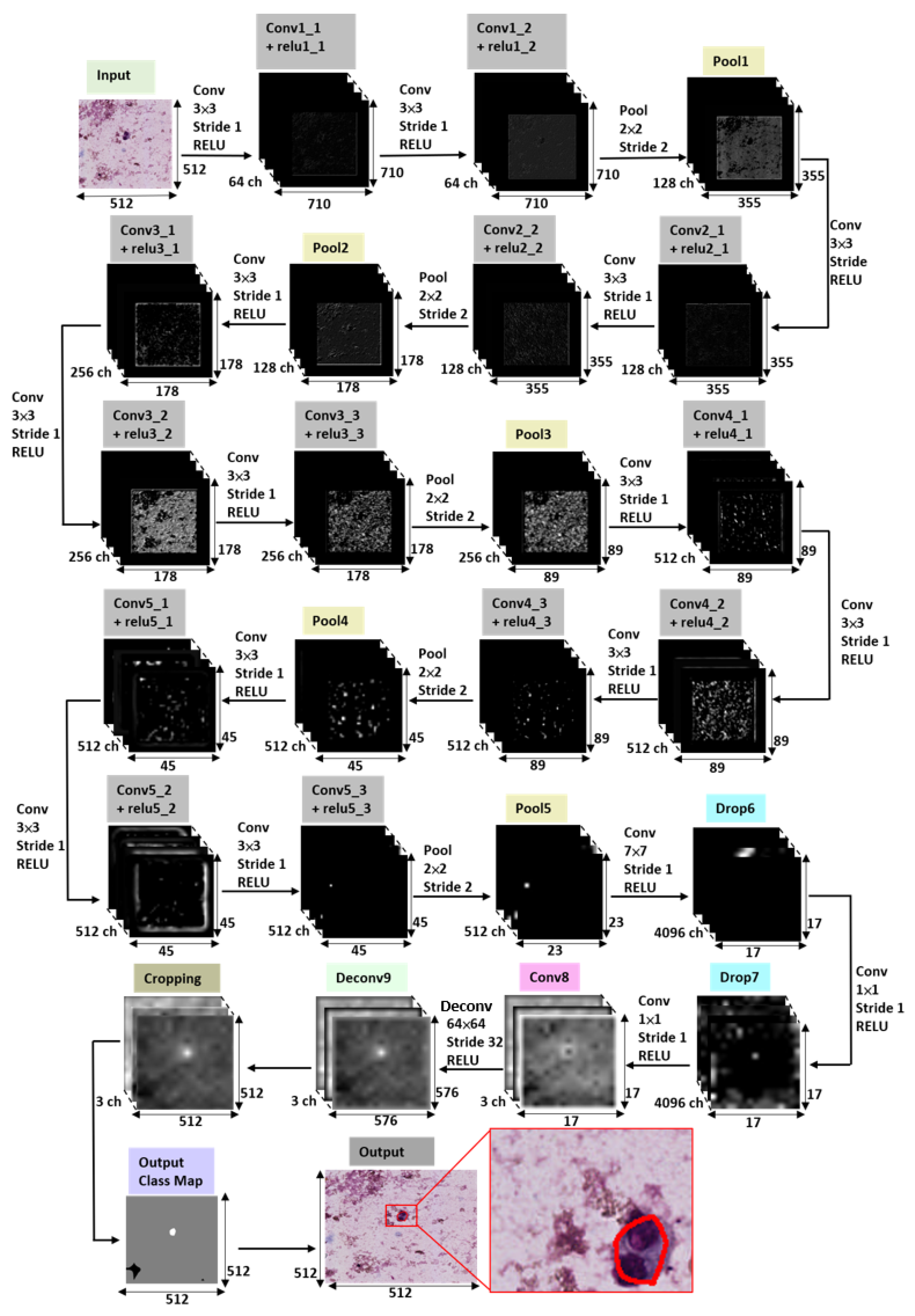 Diagnostics 12 02234 g004 Diagnostics 12 02234 g004