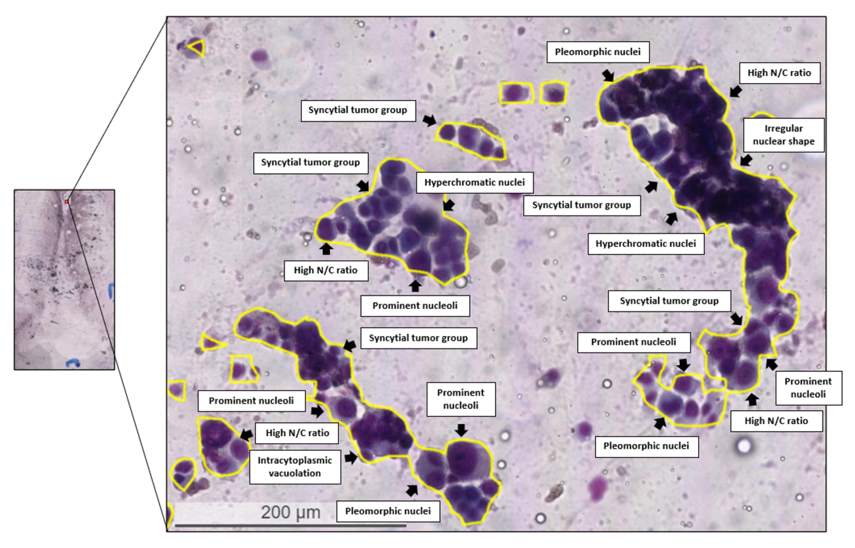 Diagnostics 12 02234 g008 Diagnostics 12 02234 g008