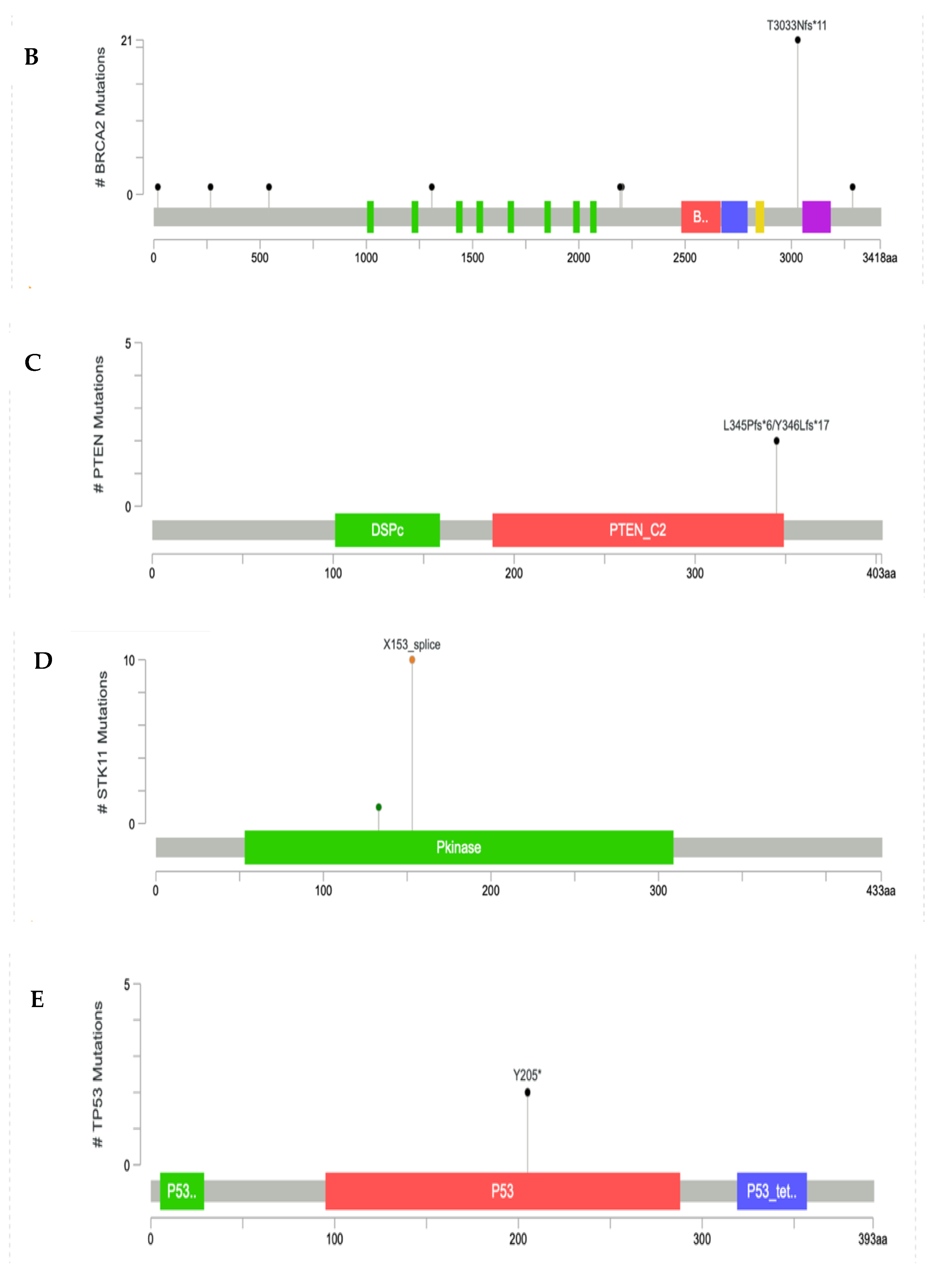 Diagnostics 12 02241 g003b Diagnostics 12 02241 g003b