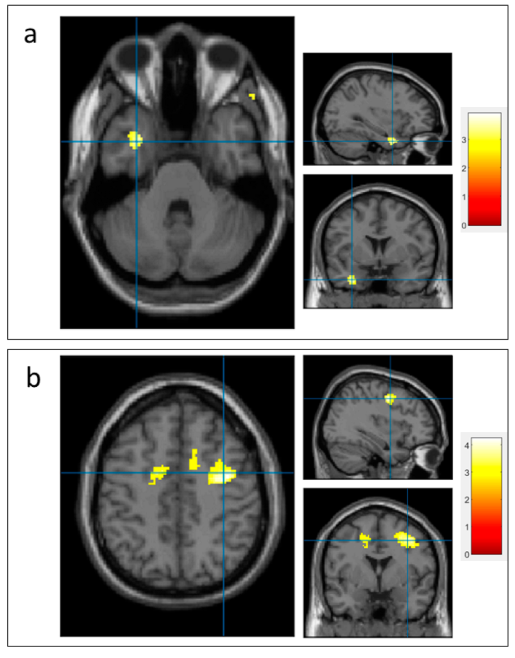 Diagnostics 12 02242 g004