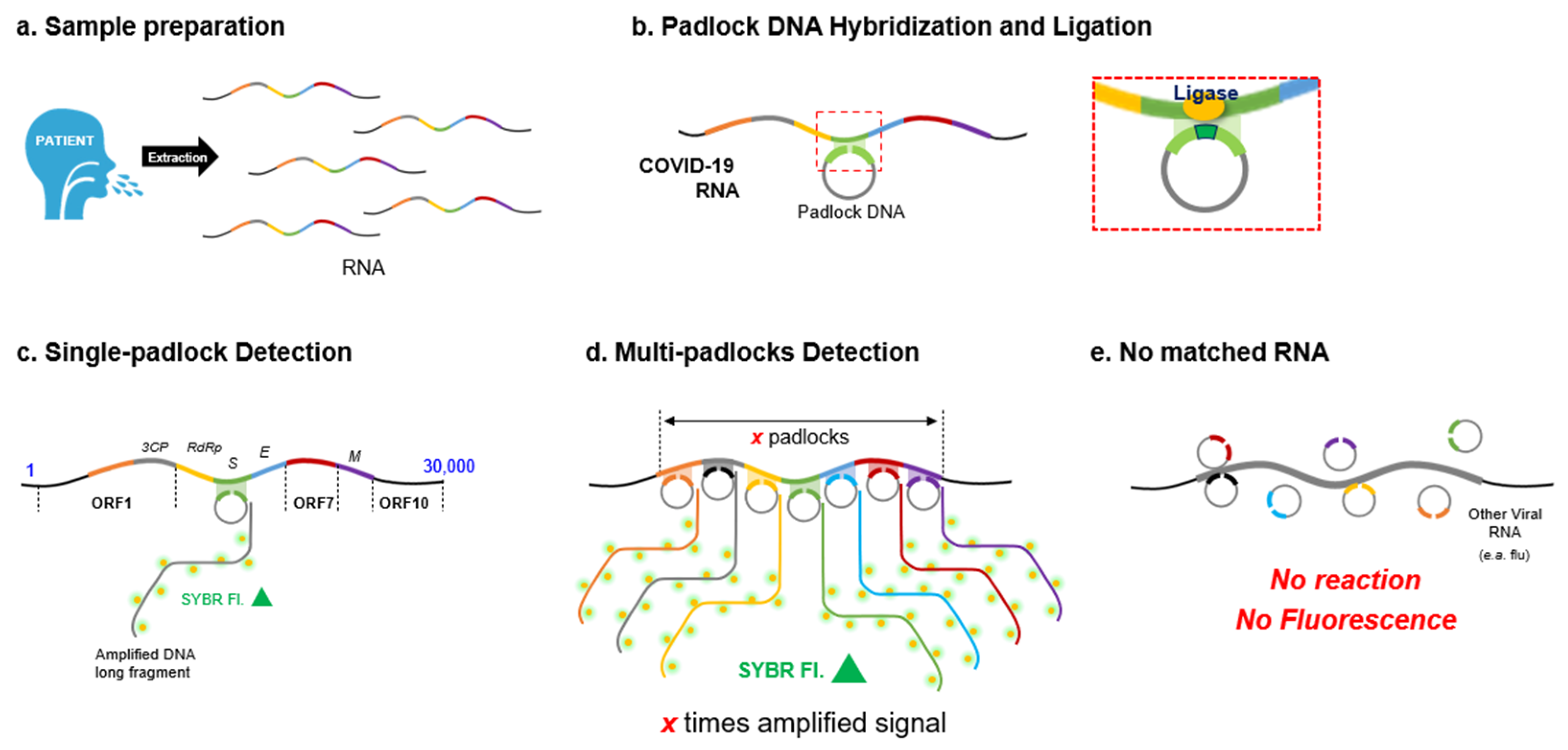 Diagnostics 12 02252 g001 550