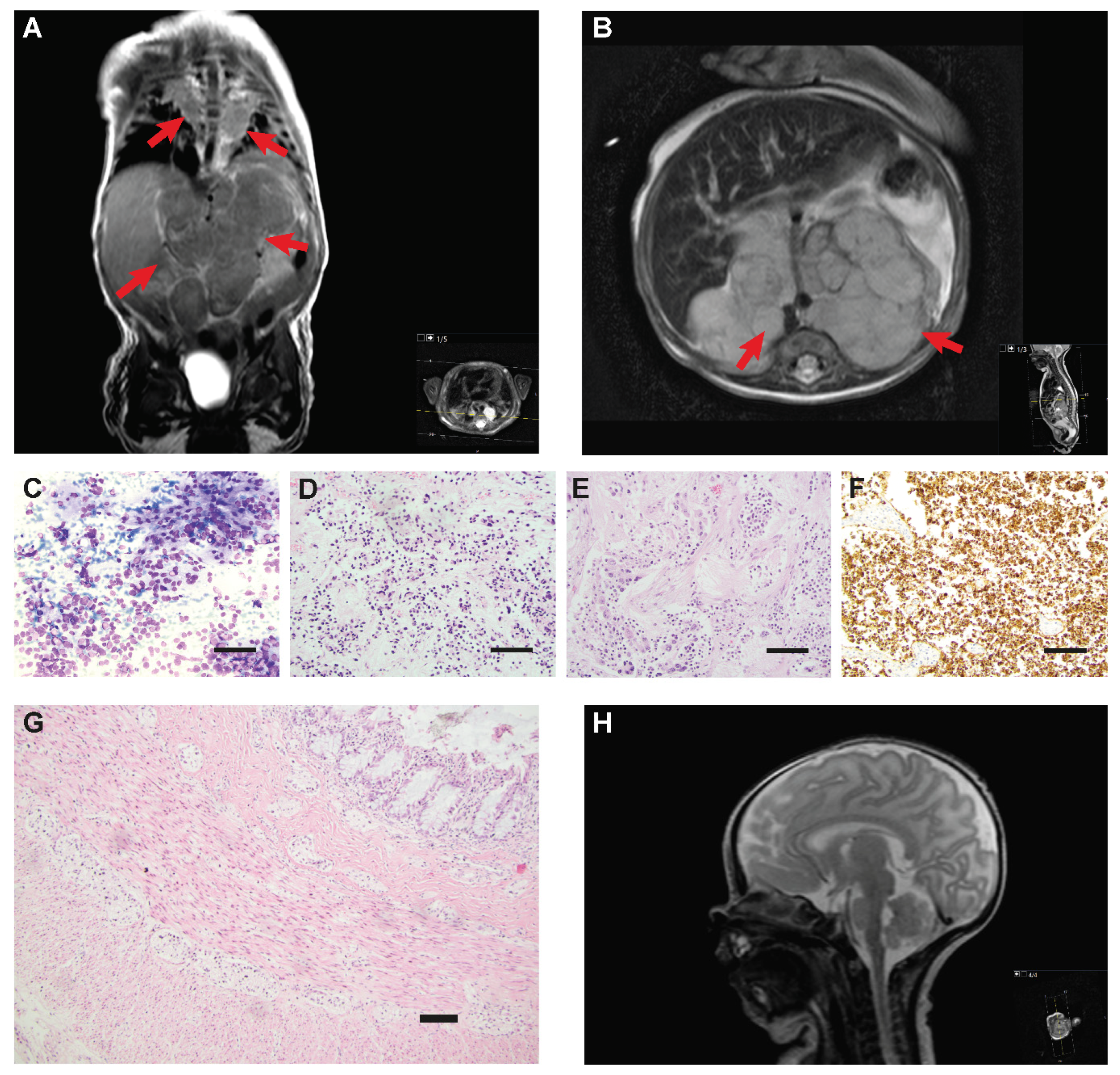 Diagnostics 12 02260 g001 Diagnostics 12 02260 g001