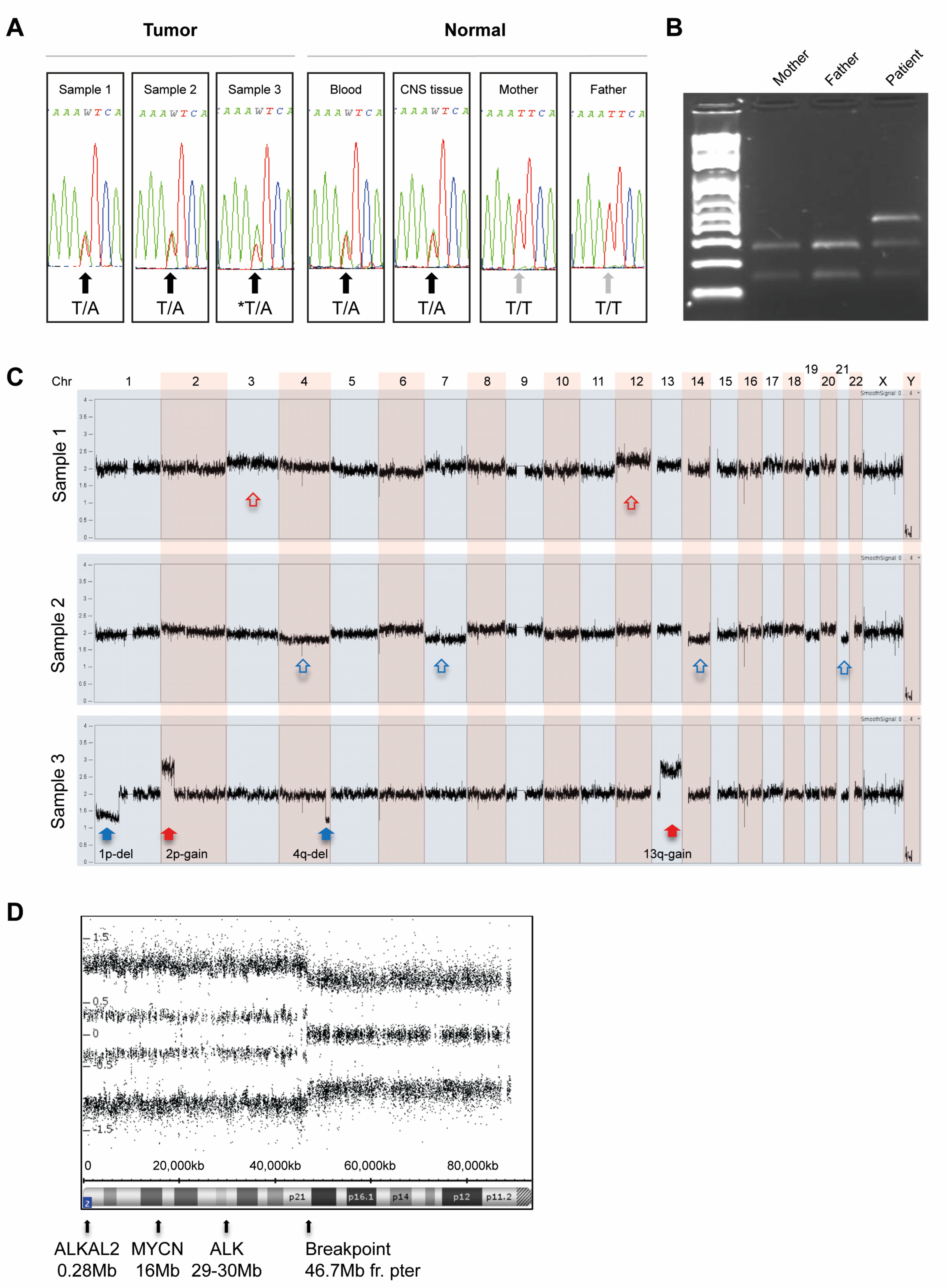 Diagnostics 12 02260 g002 Diagnostics 12 02260 g002