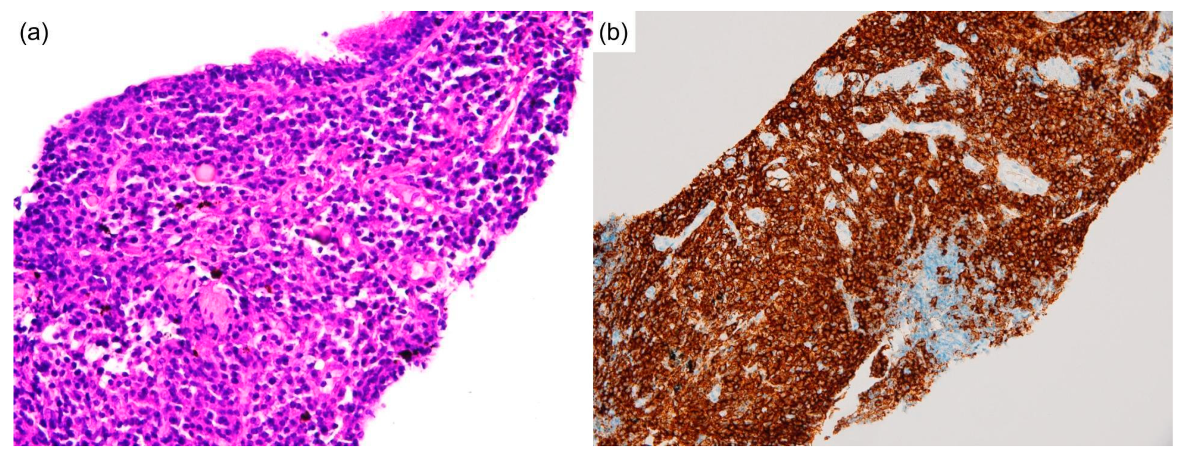 Diagnostics 12 02261 g003 Diagnostics 12 02261 g003