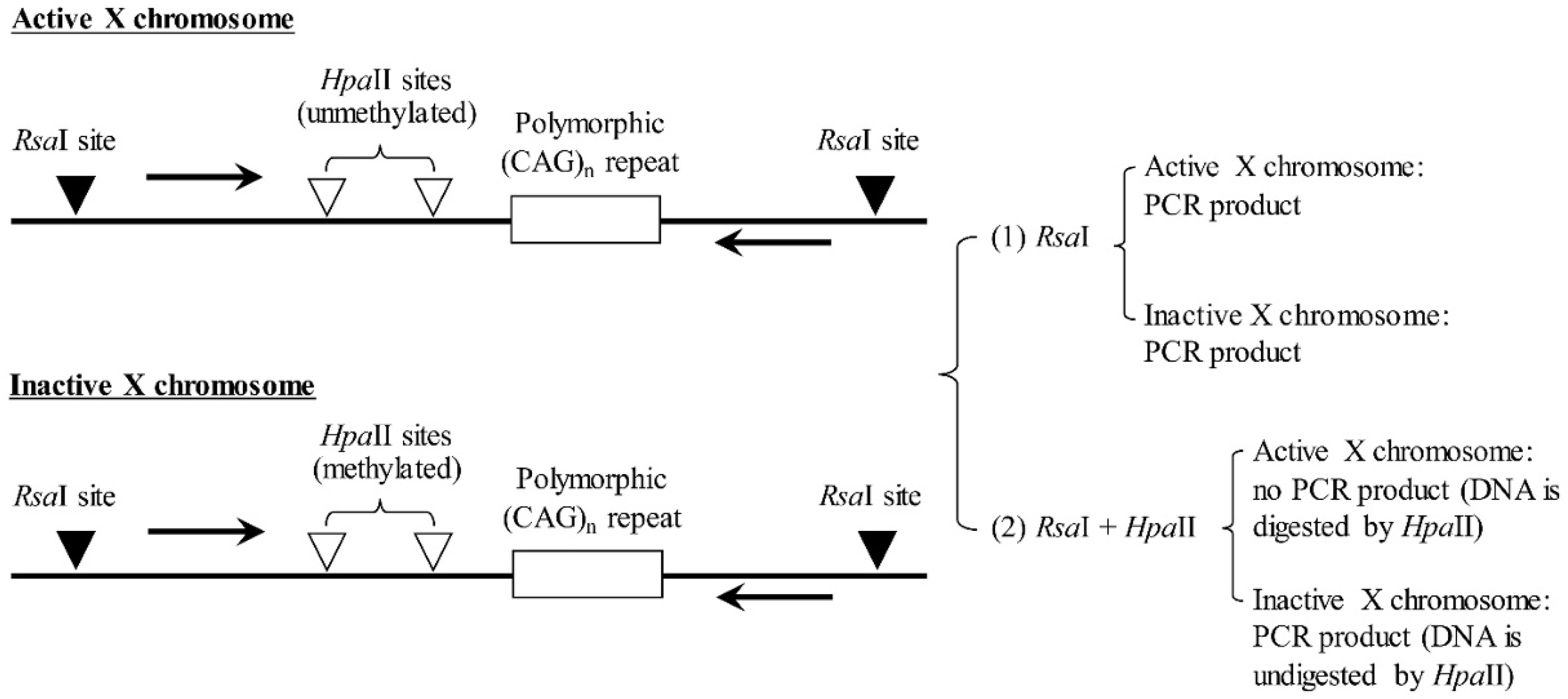 Diagnostics 12 02267 g002 Diagnostics 12 02267 g002