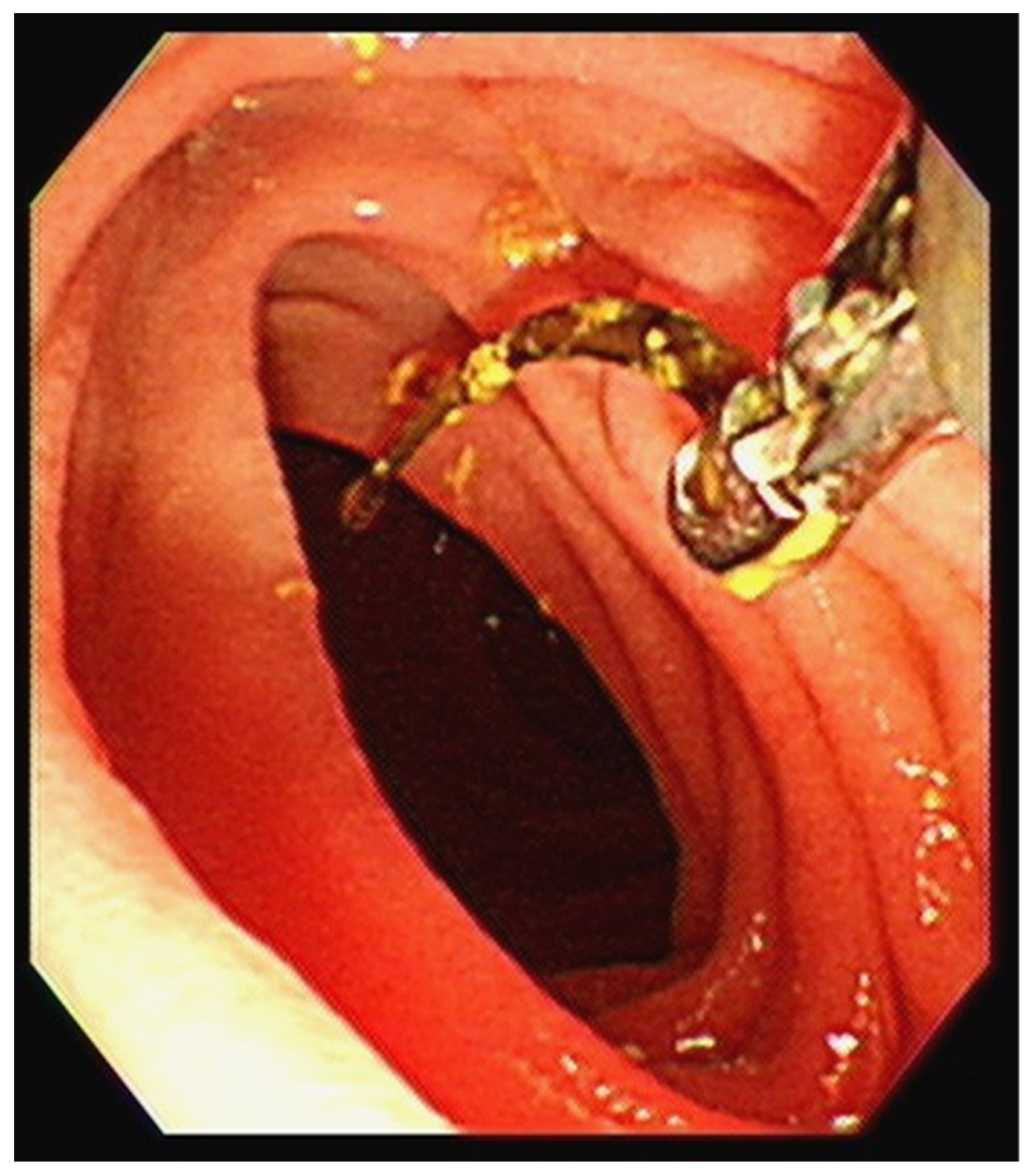 Diagnostics 12 02276 g002