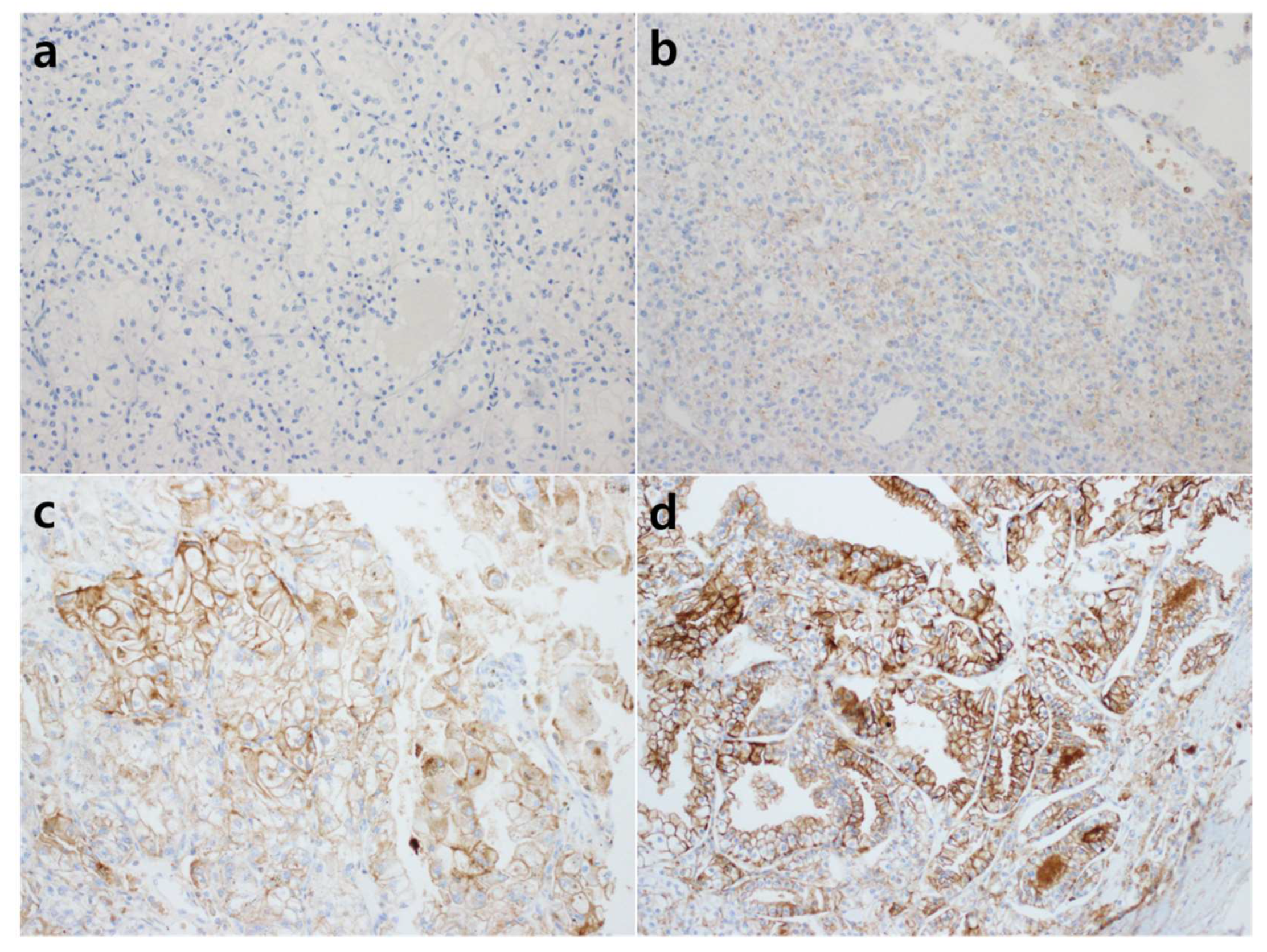 Diagnostics 12 02291 g001