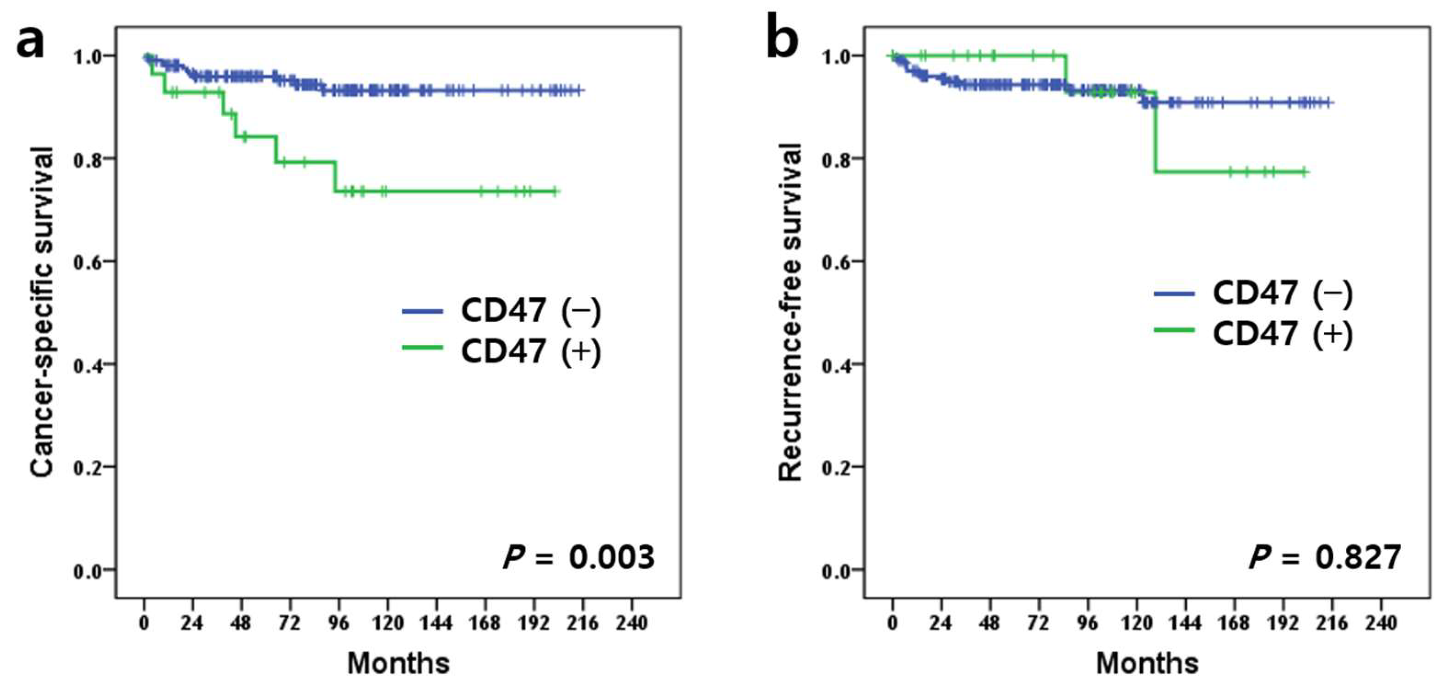 Diagnostics 12 02291 g002