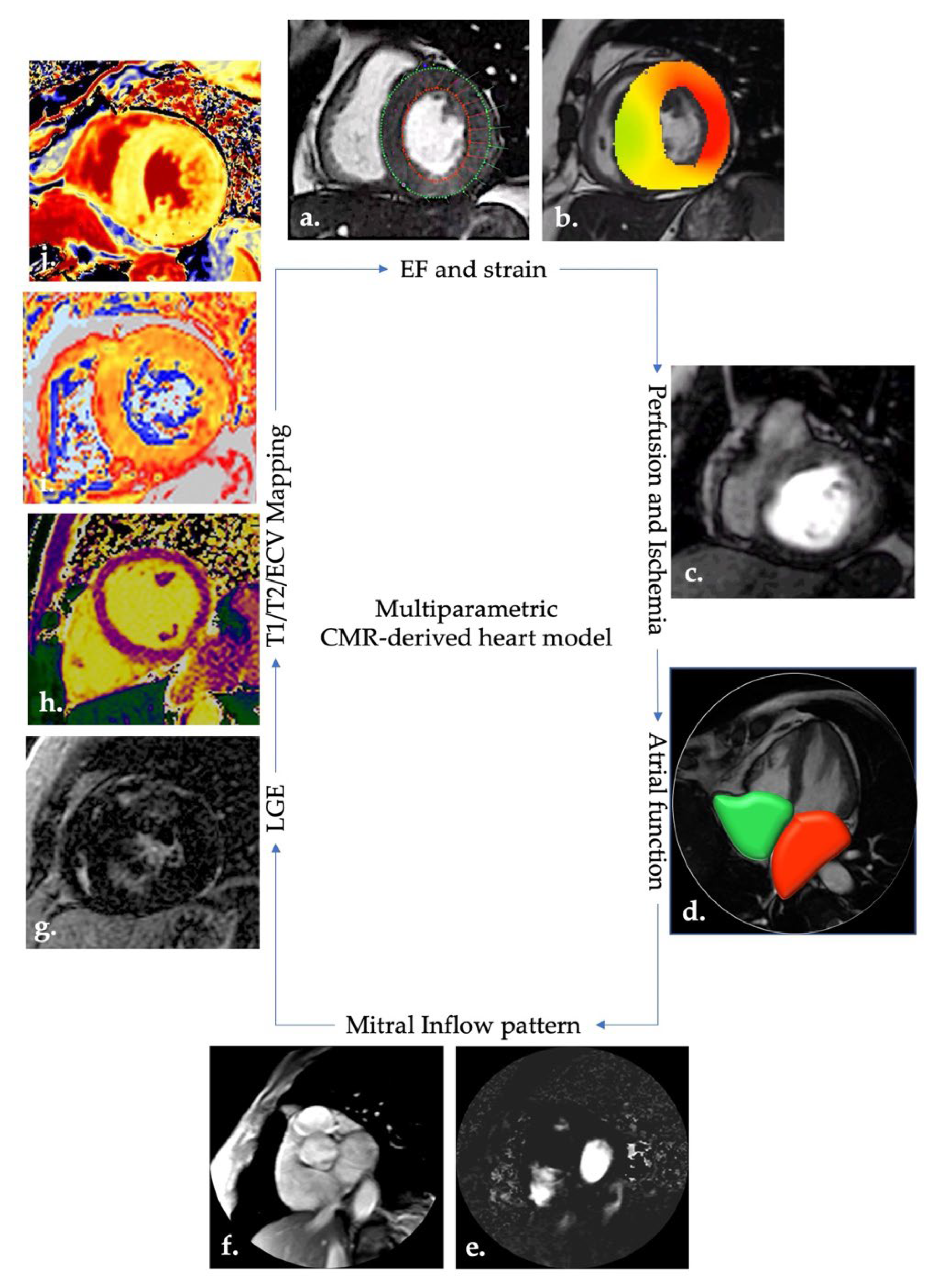 Diagnostics 12 02298 g002