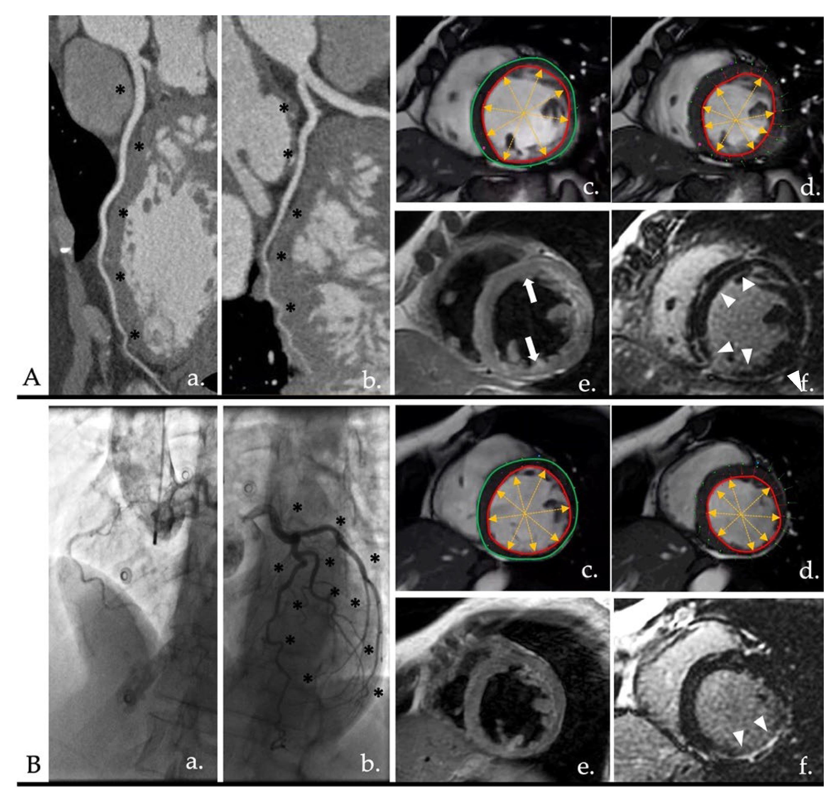 Diagnostics 12 02298 g004