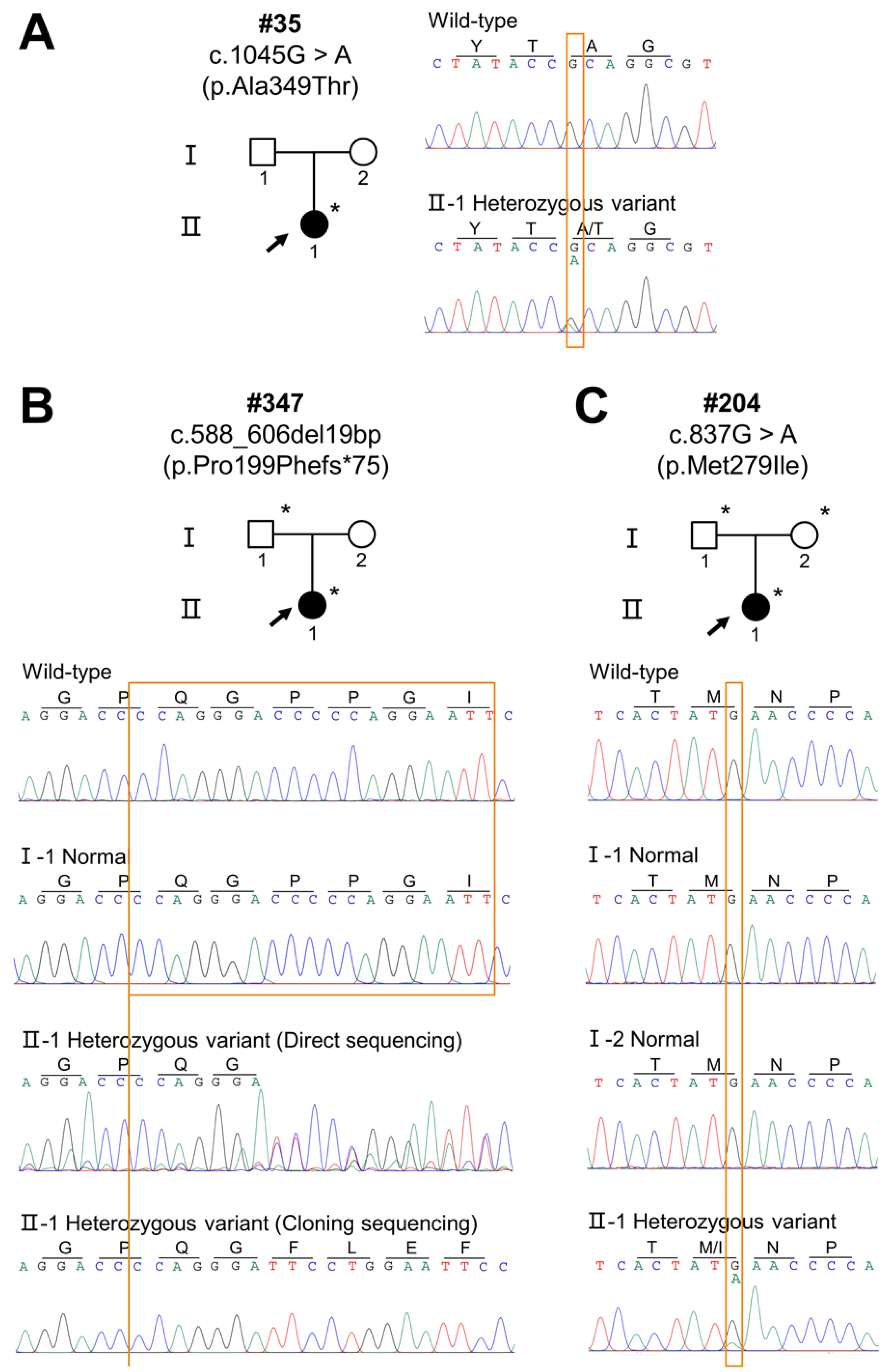 Diagnostics 12 02300 g002 Diagnostics 12 02300 g002