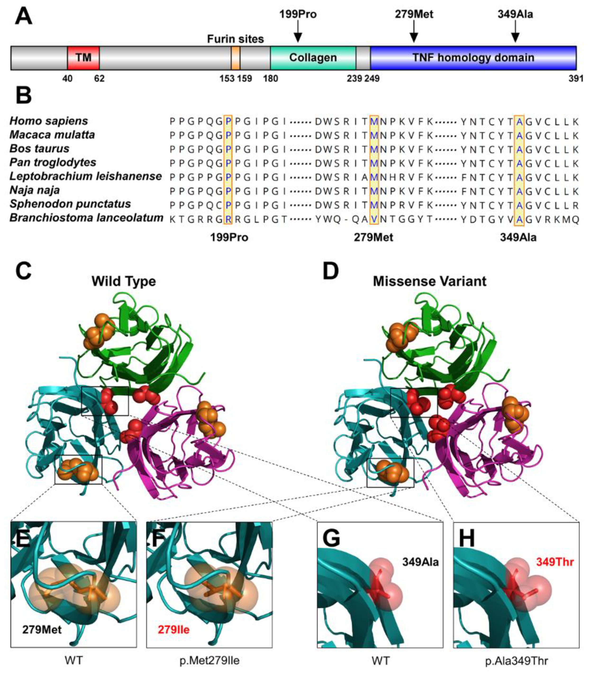 Diagnostics 12 02300 g003 Diagnostics 12 02300 g003