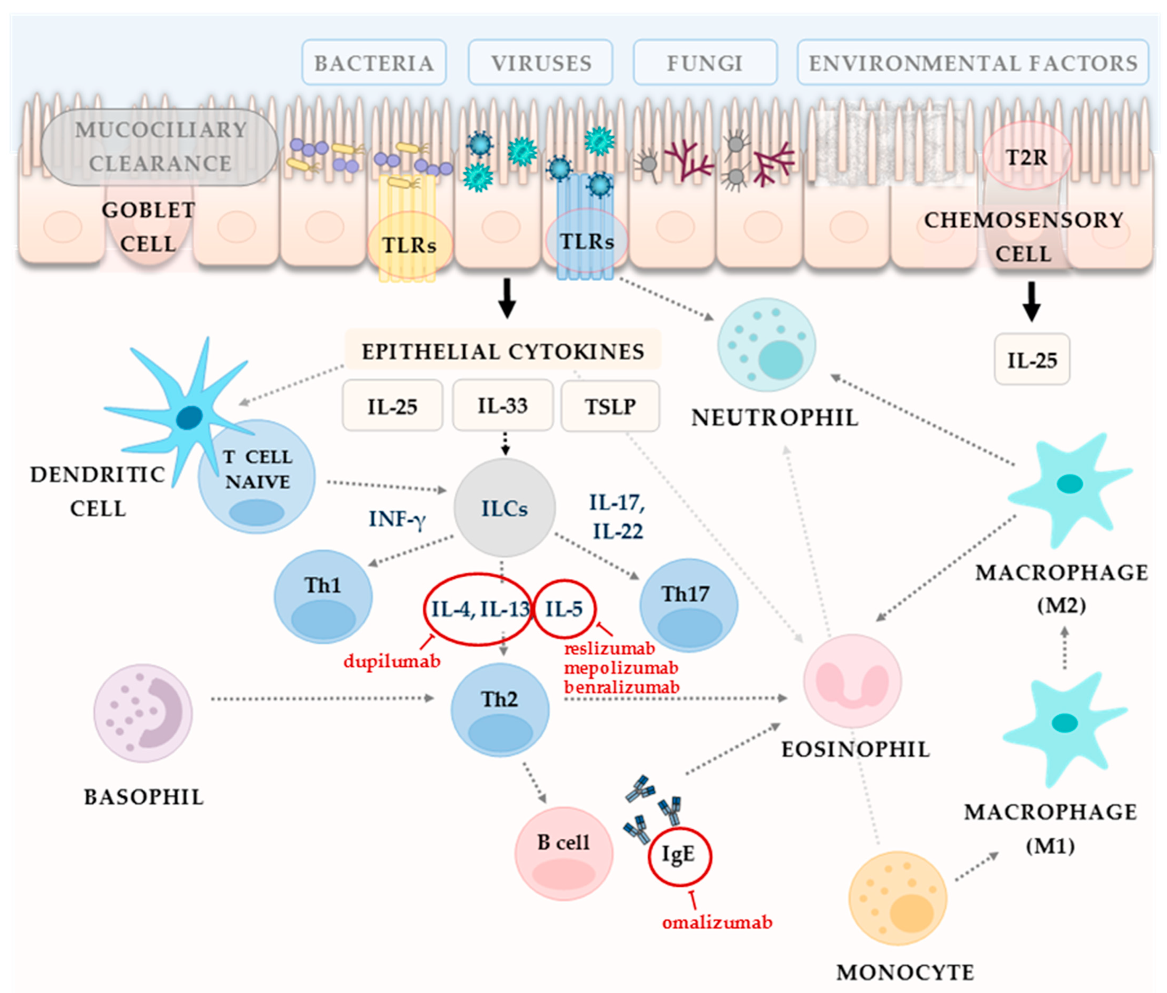 Diagnostics 12 02301 g003