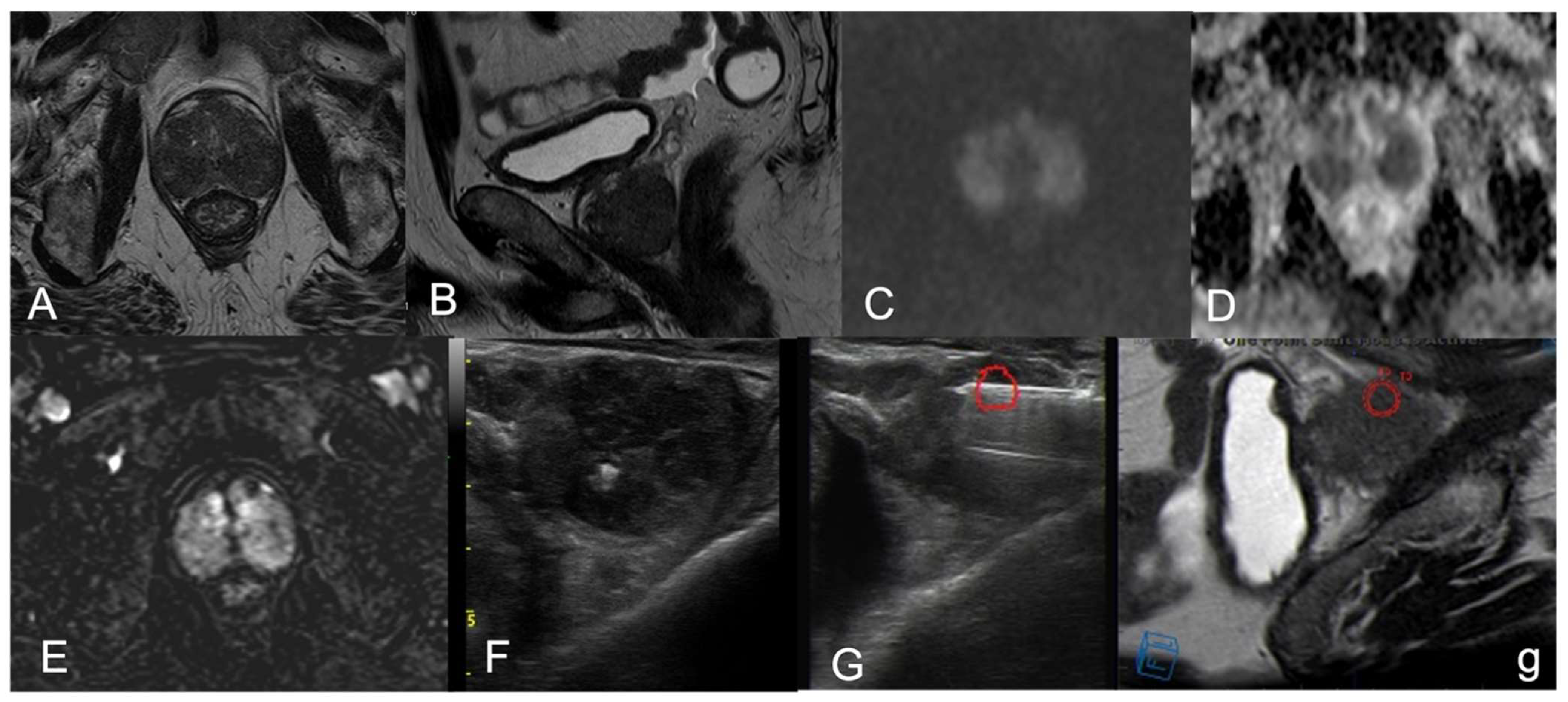 Diagnostics 12 02302 g002