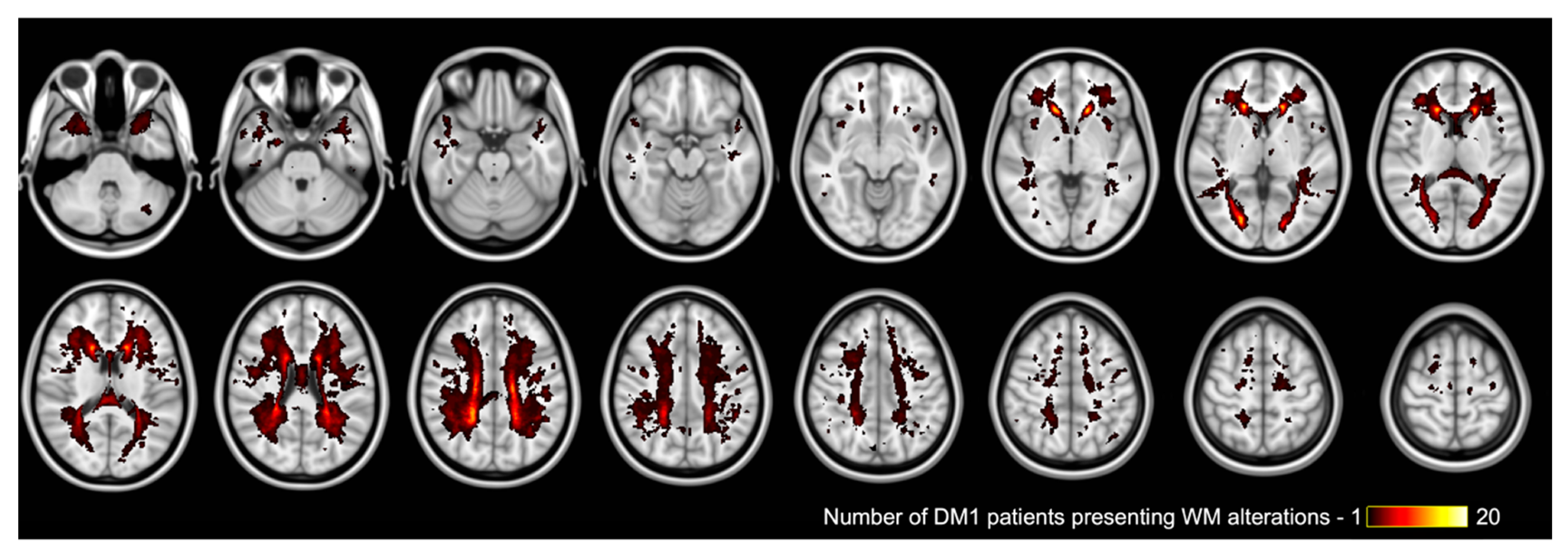 Diagnostics 12 02305 g001