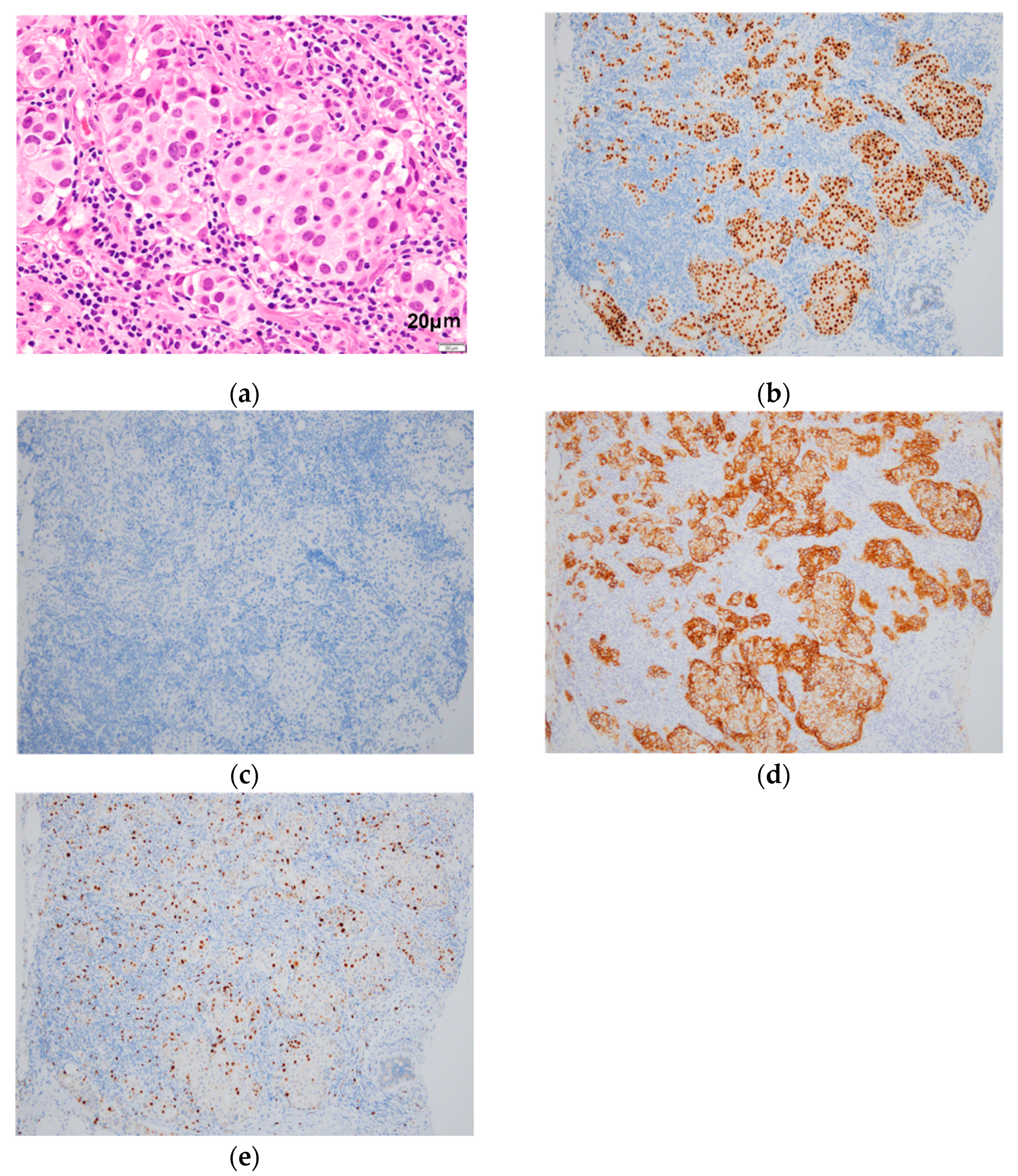 Diagnostics 12 02308 g002 Diagnostics 12 02308 g002