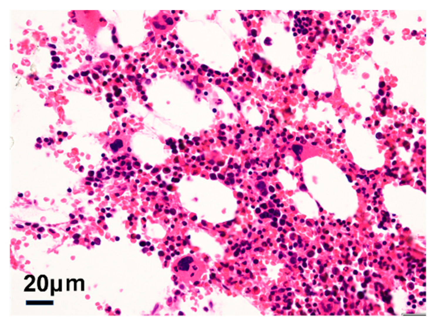 Diagnostics 12 02308 g004 Diagnostics 12 02308 g004