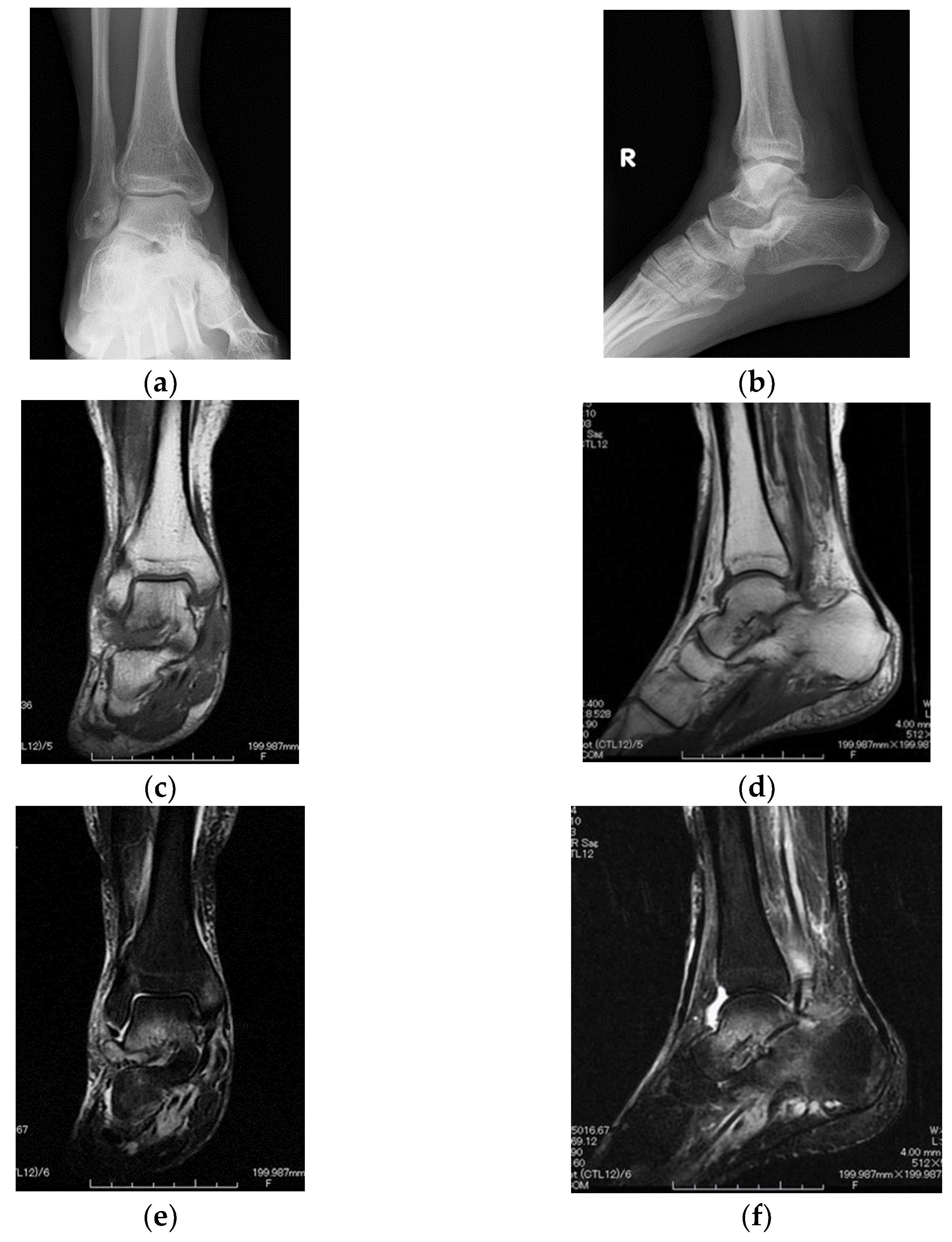 Diagnostics 12 02311 g001