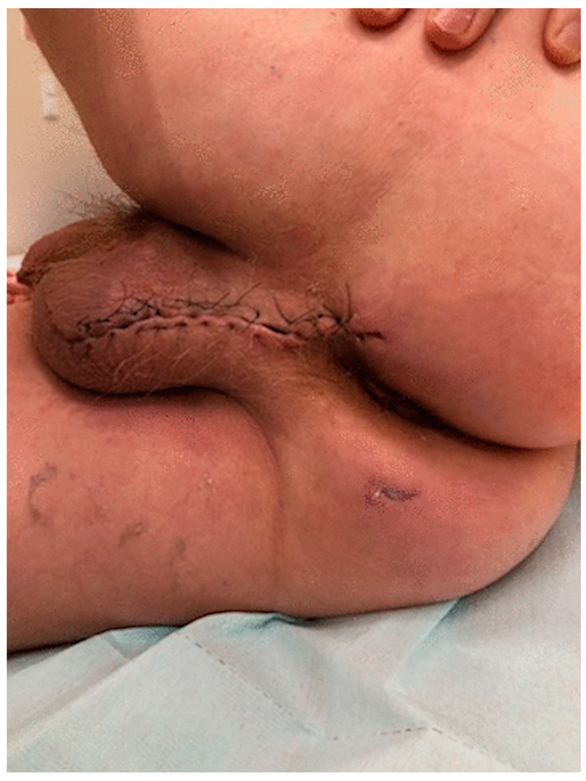 Diagnostics 12 02320 g008