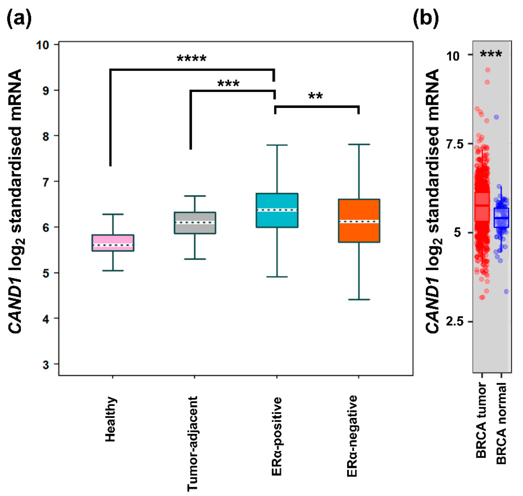 Diagnostics 12 02327 g001