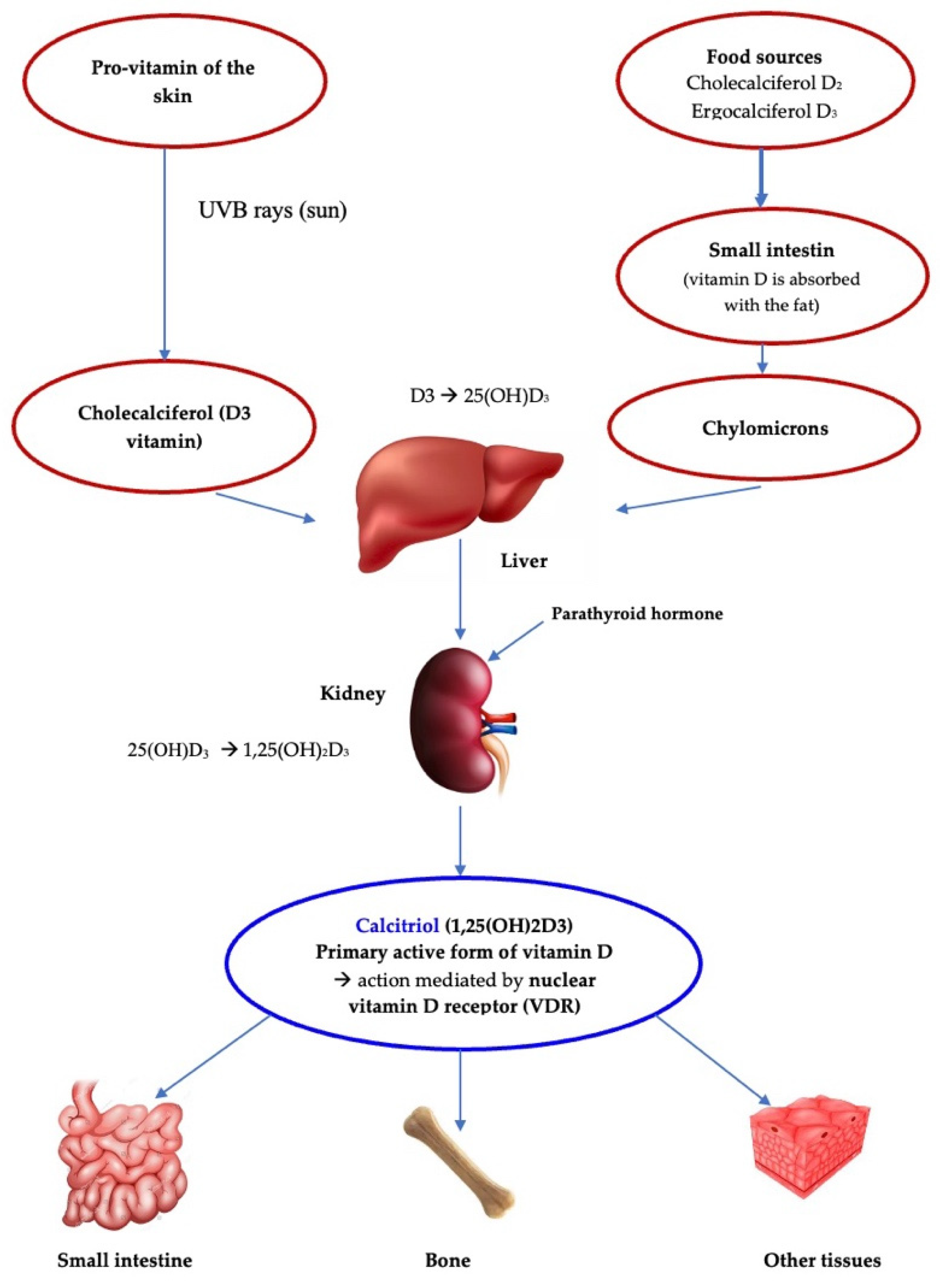 Diagnostics 12 02328 g001 Diagnostics 12 02328 g001