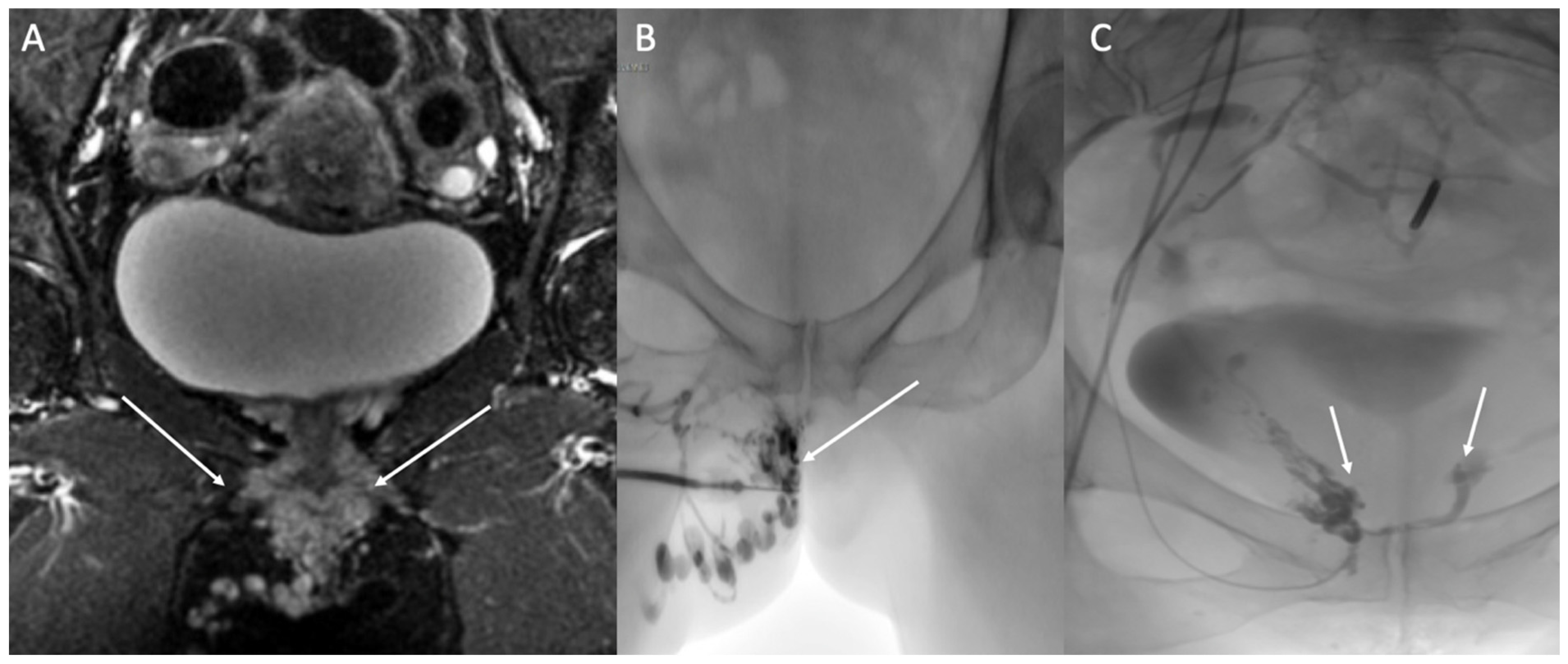 Diagnostics 12 02337 g005 Diagnostics 12 02337 g005