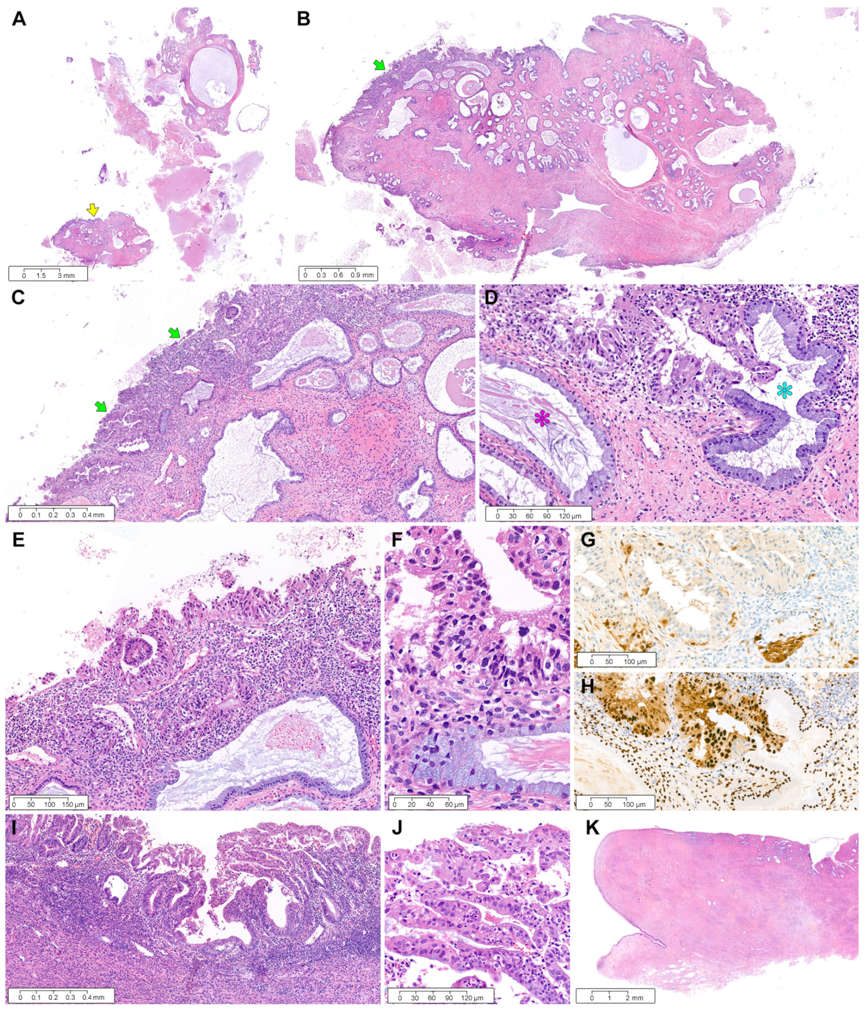 Diagnostics 12 02339 g004 550