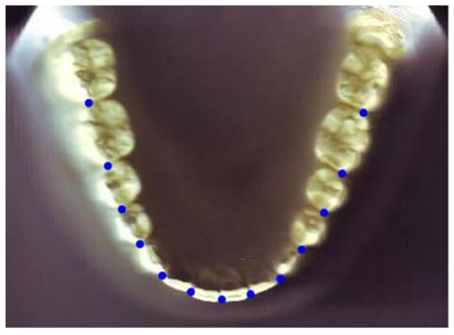 Diagnostics 12 02352 g001