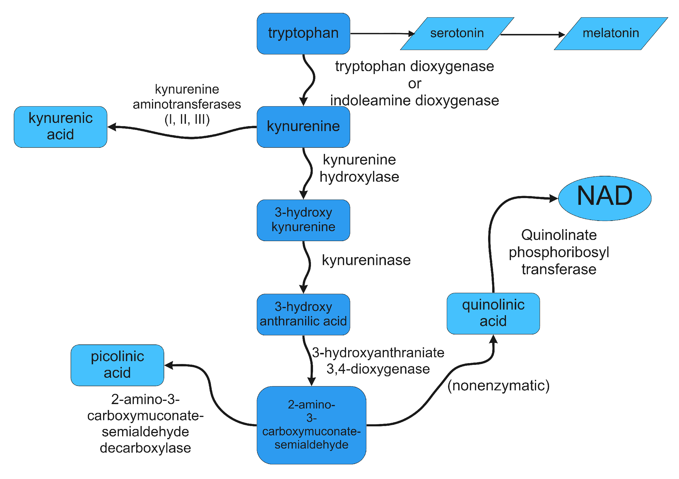 Diagnostics 12 02353 g002
