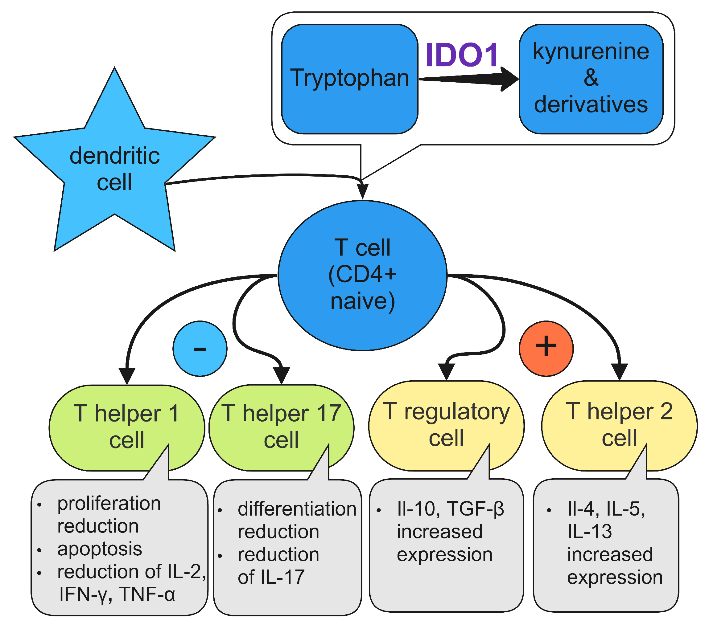 Diagnostics 12 02353 g003