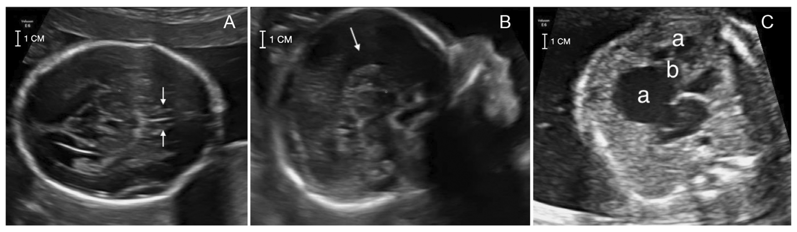 Diagnostics 12 02354 g001 550