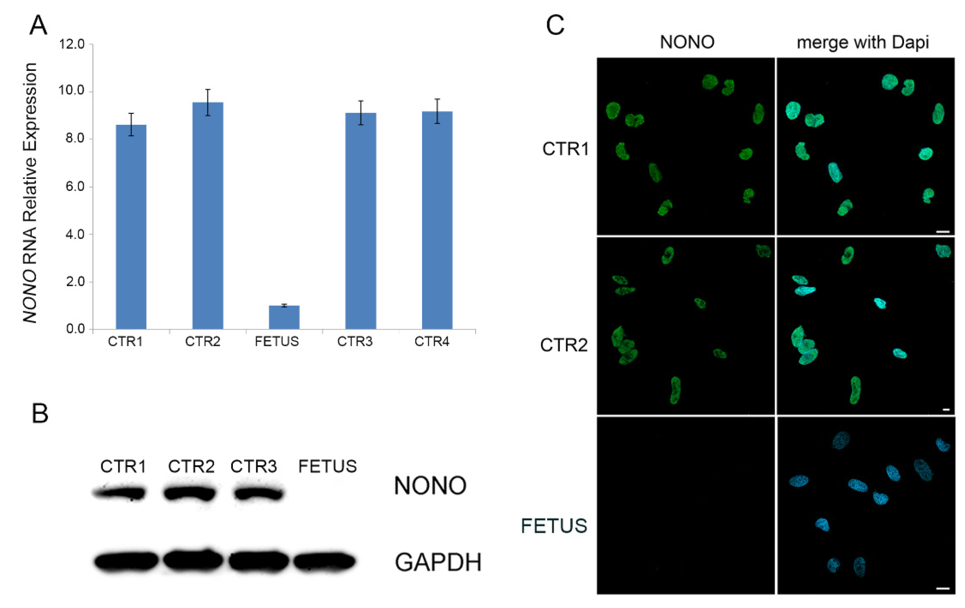 Diagnostics 12 02354 g003 550