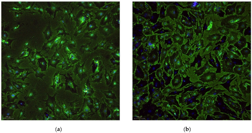 Diagnostics 12 02358 g001 Diagnostics 12 02358 g001