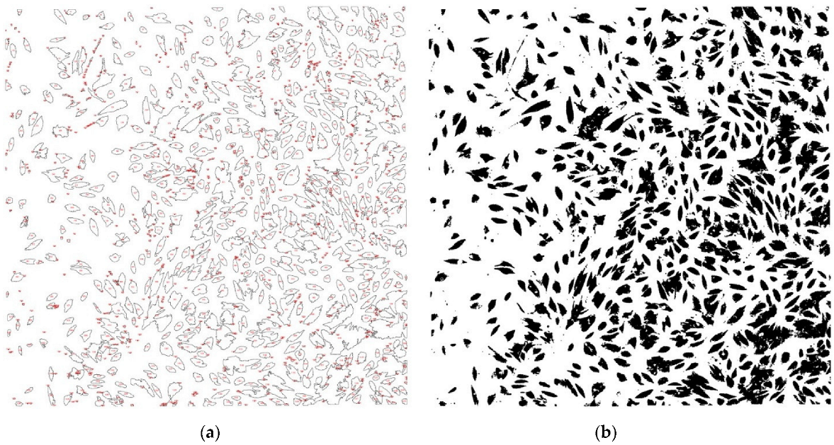Diagnostics 12 02358 g004 Diagnostics 12 02358 g004