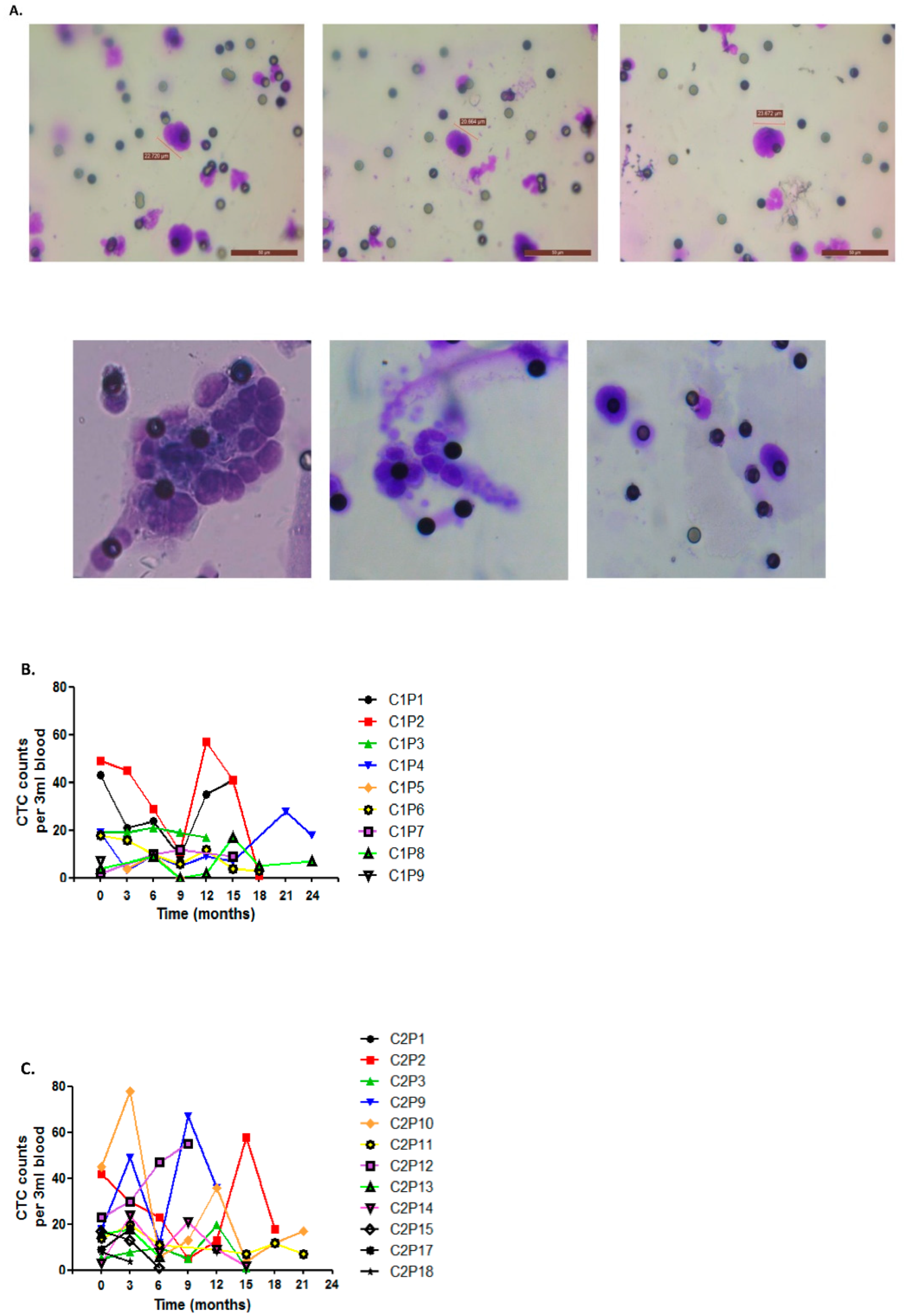 Diagnostics 12 02360 g004 Diagnostics 12 02360 g004