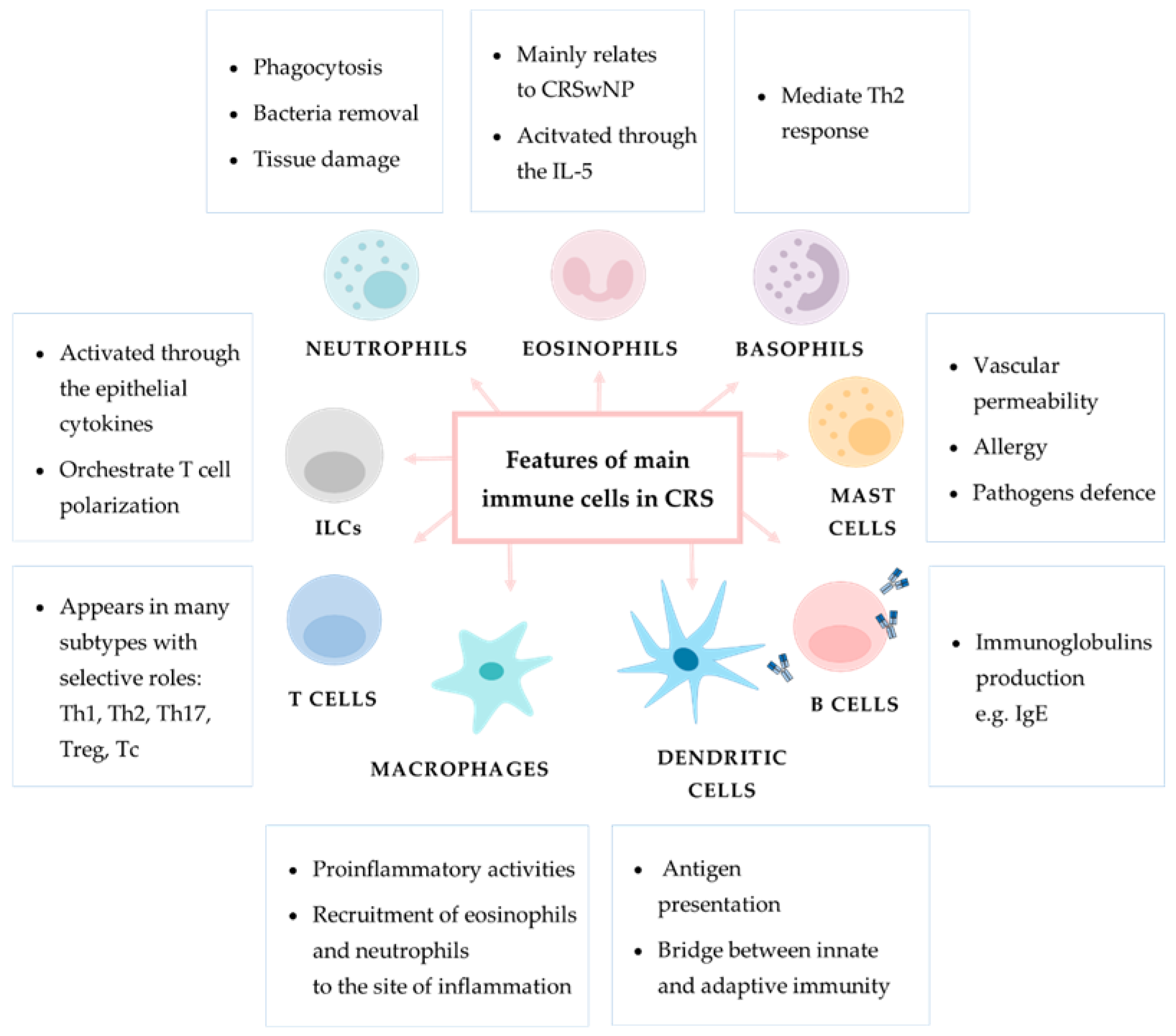 Diagnostics 12 02361 g005 Diagnostics 12 02361 g005